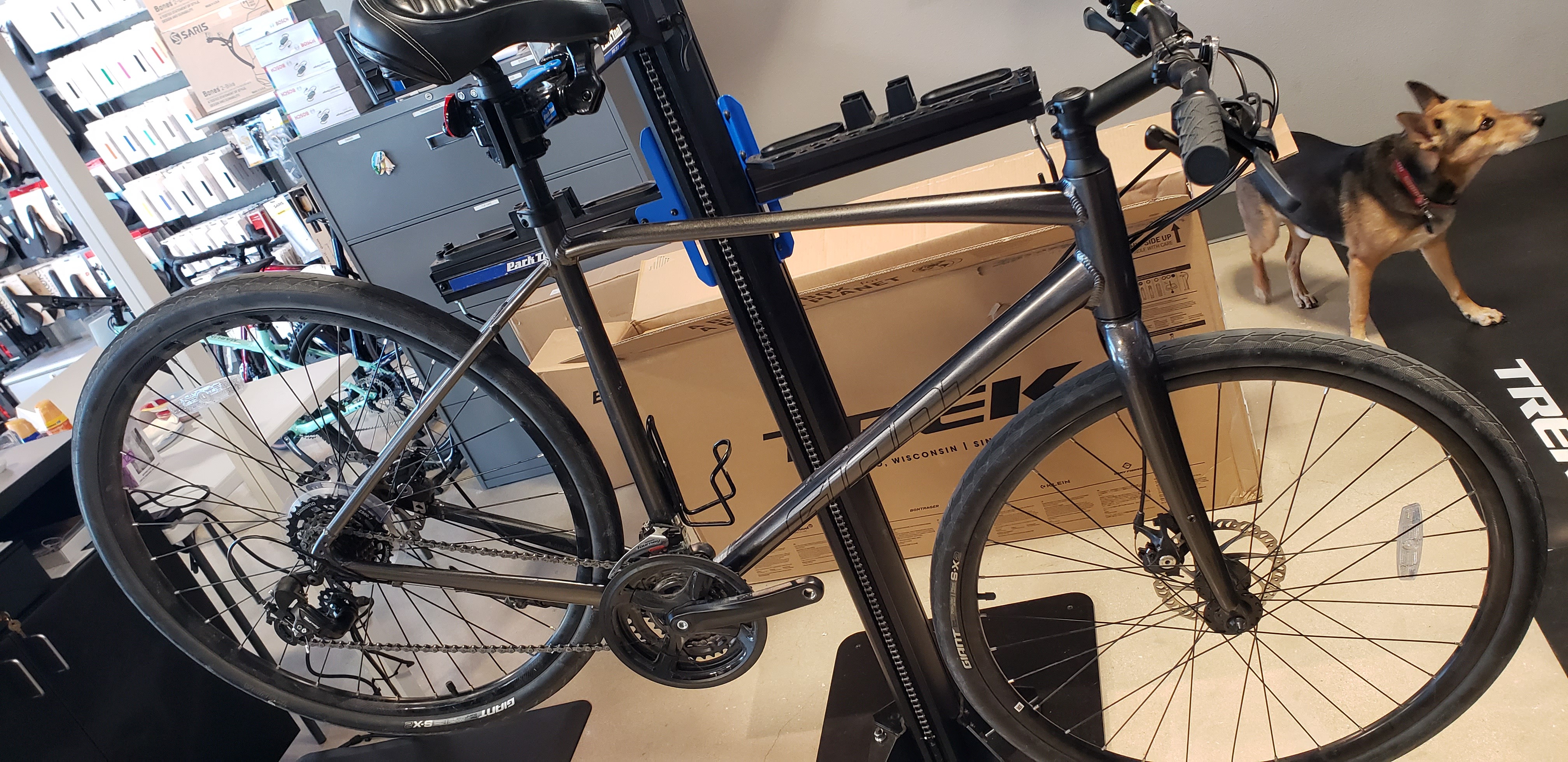 2021 Giant Escape 3 Disc 