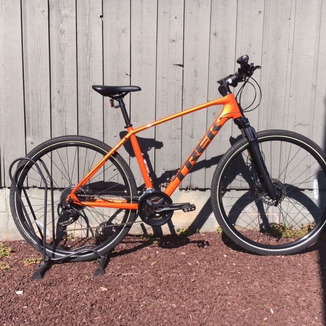 2021 Trek Dual Sport 3 