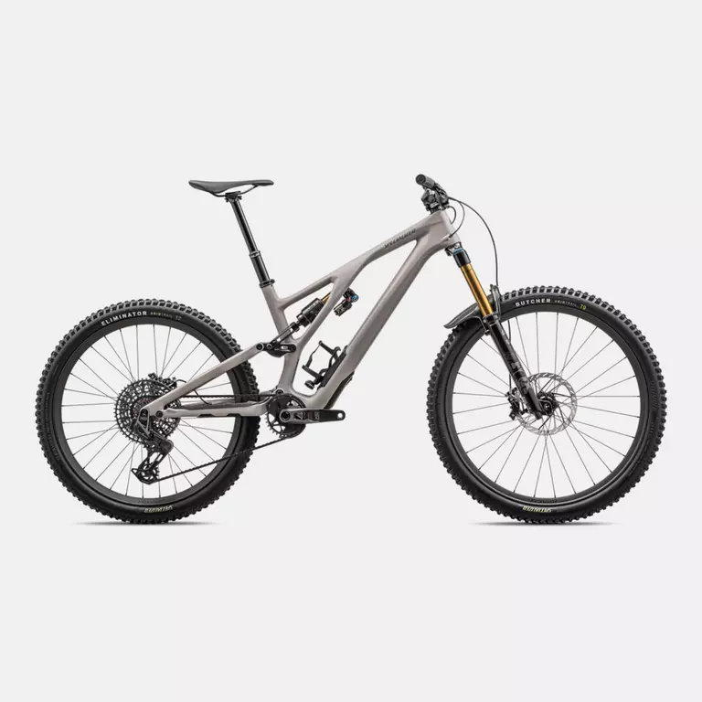 2021 Specialized Stumpjumper EVO Comp Value & Price Guide