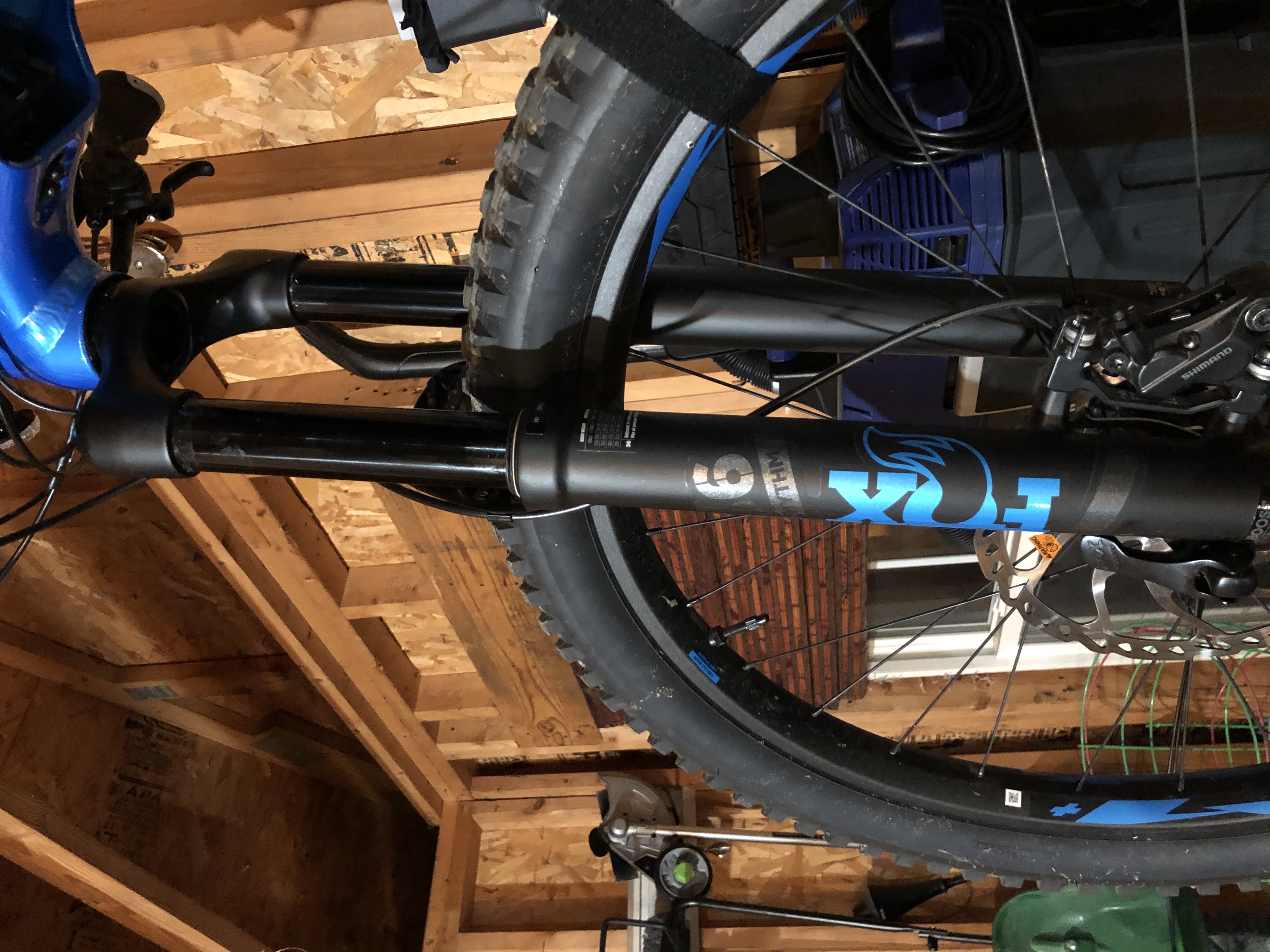 bike-pictures