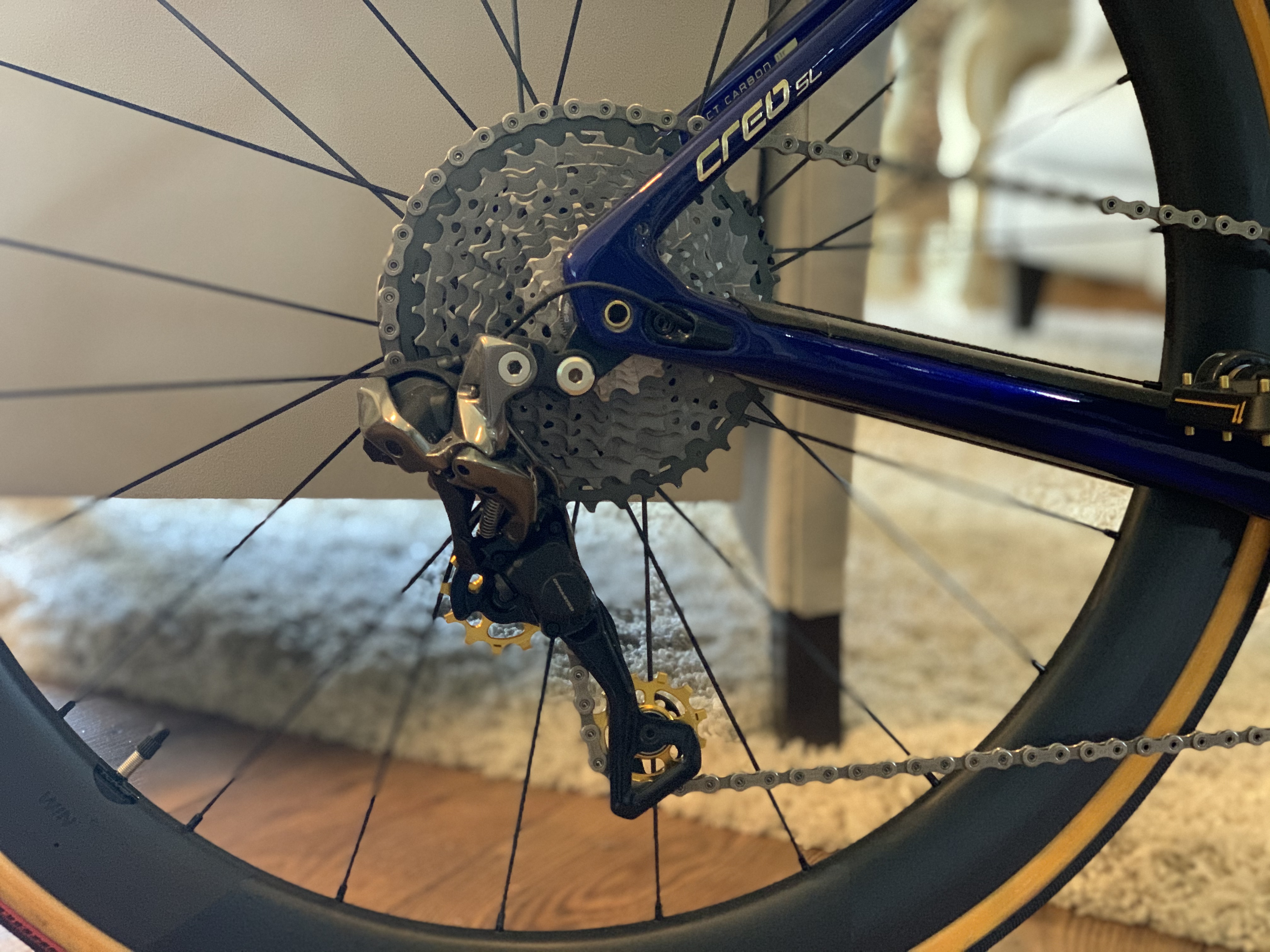 bike-pictures