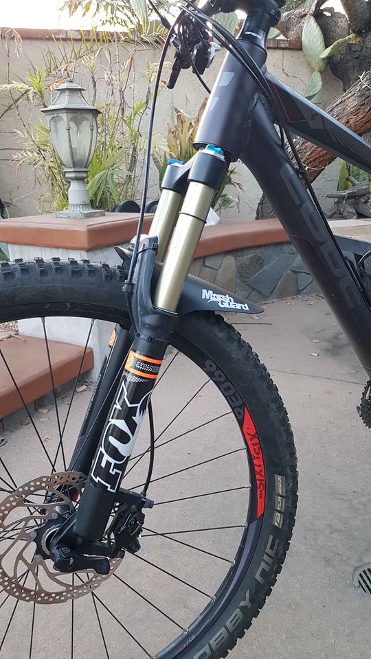 bike-pictures