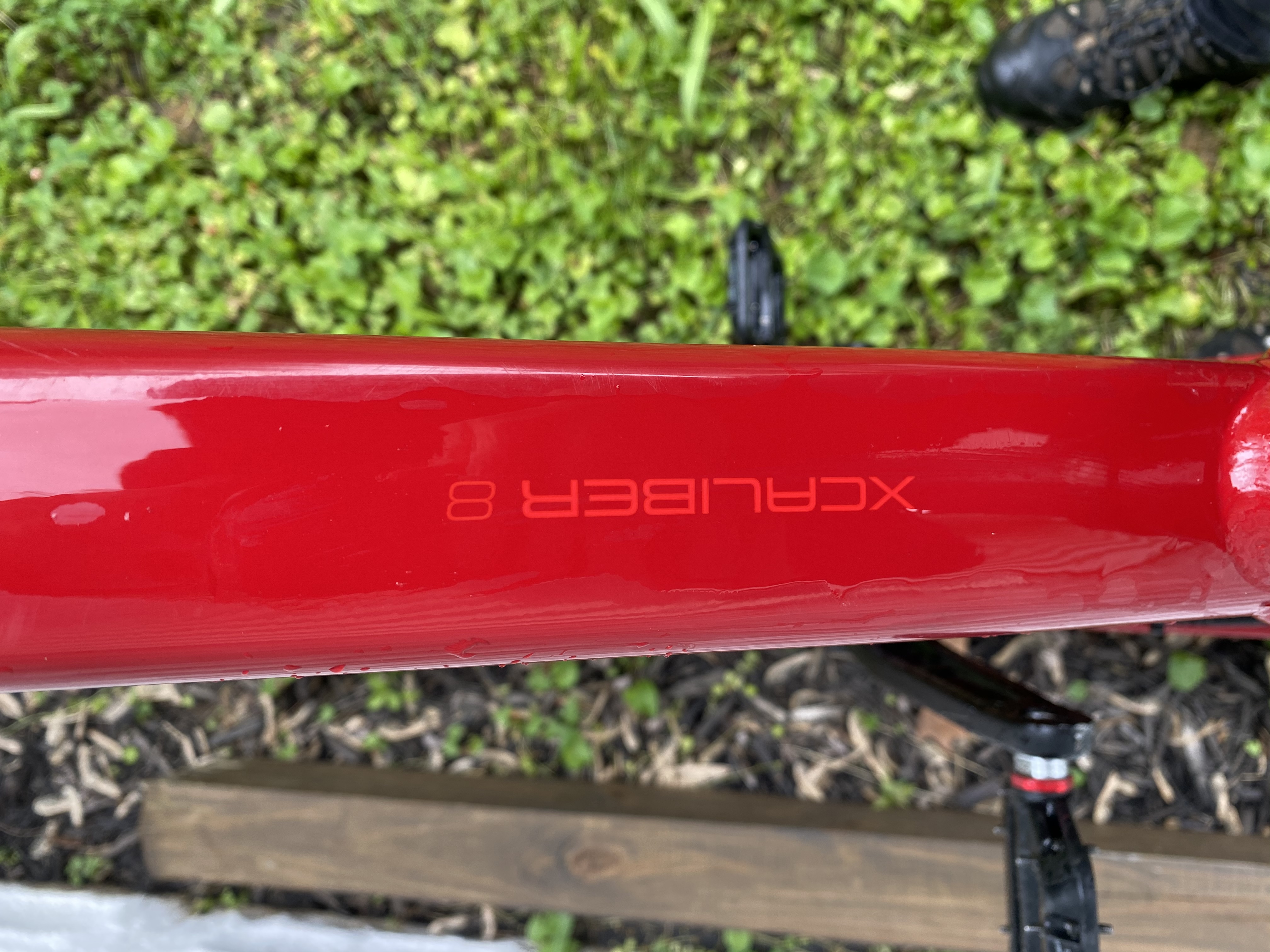 bike-pictures