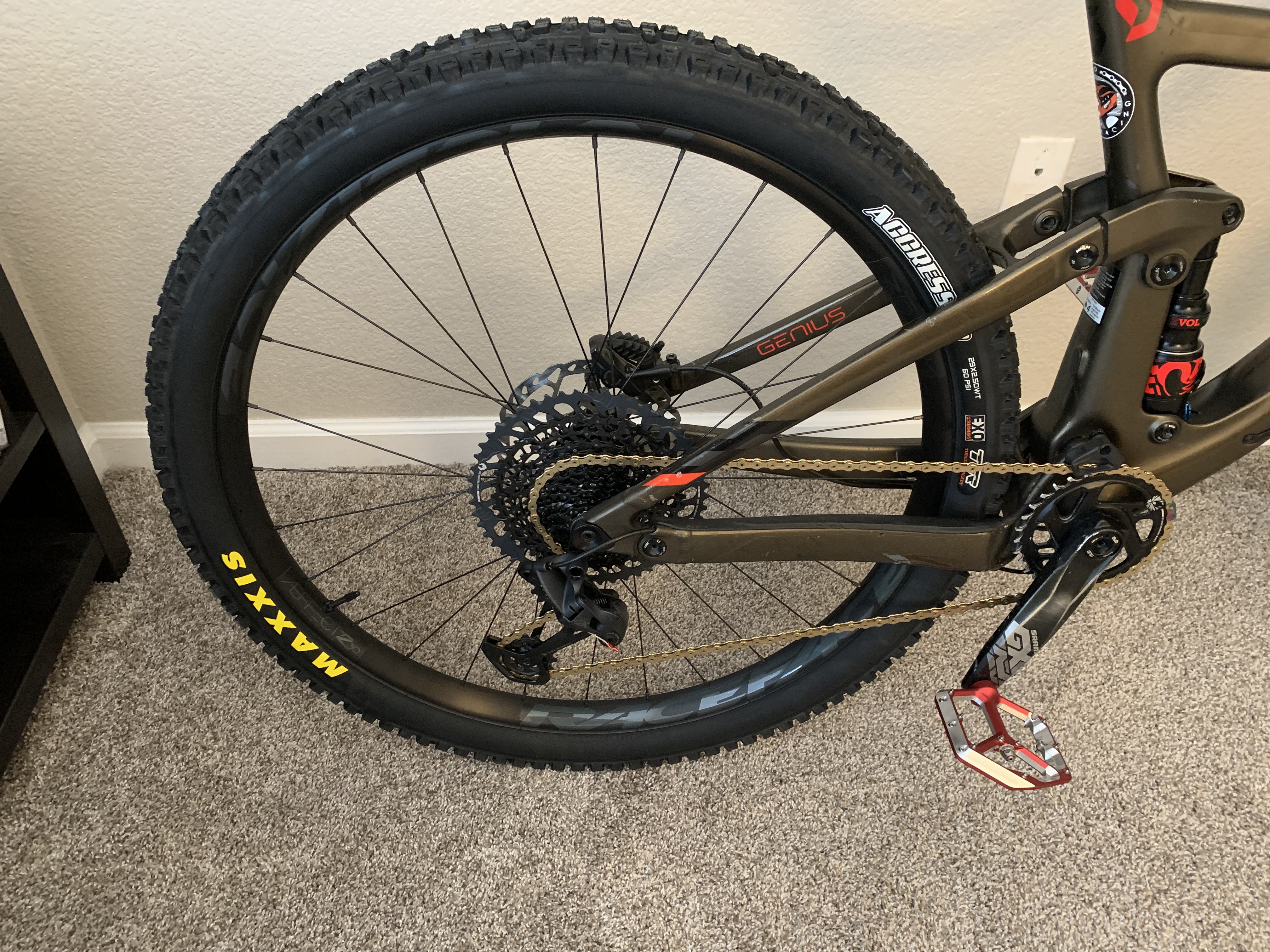 bike-pictures