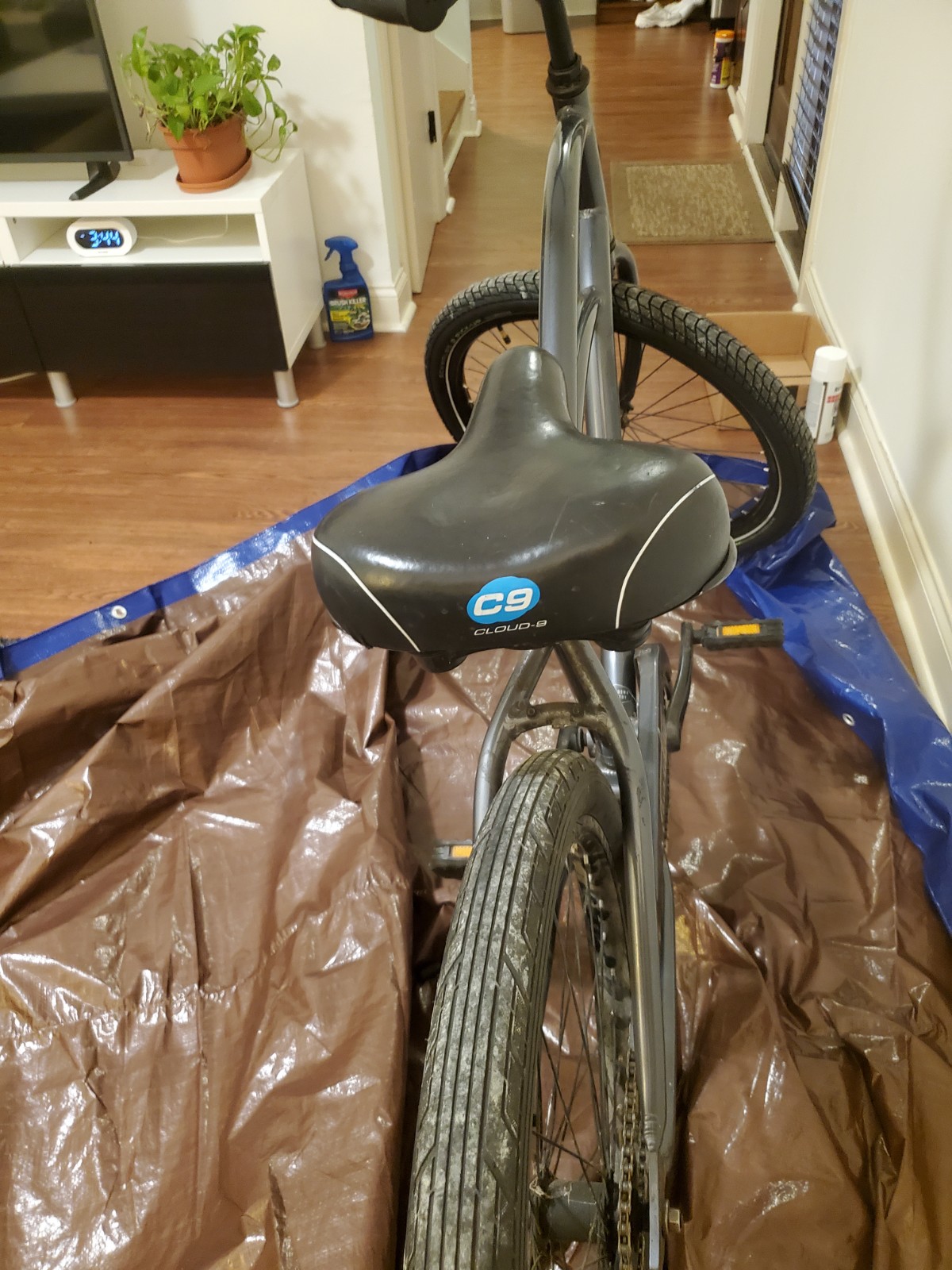 bike-pictures