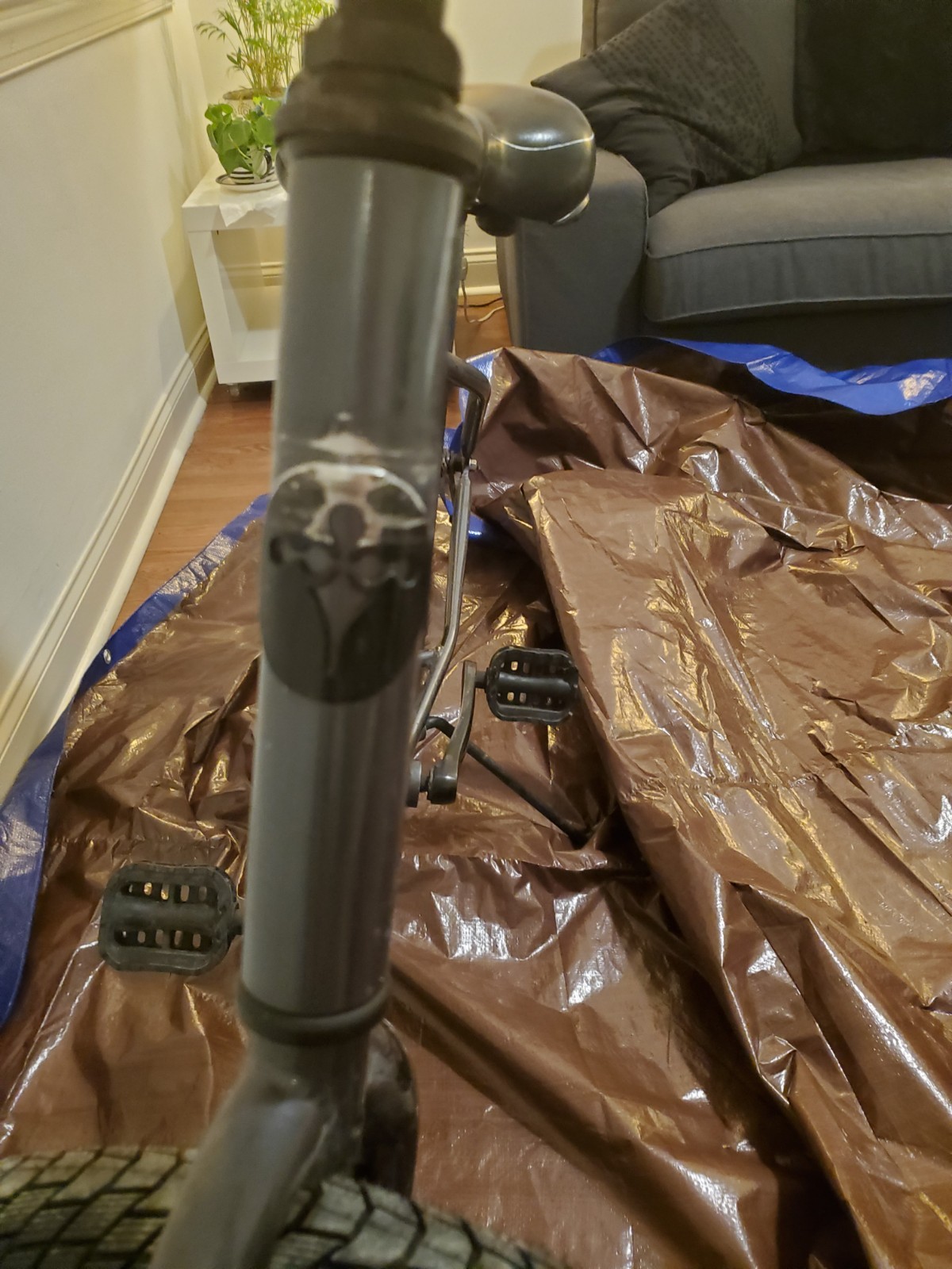 bike-pictures