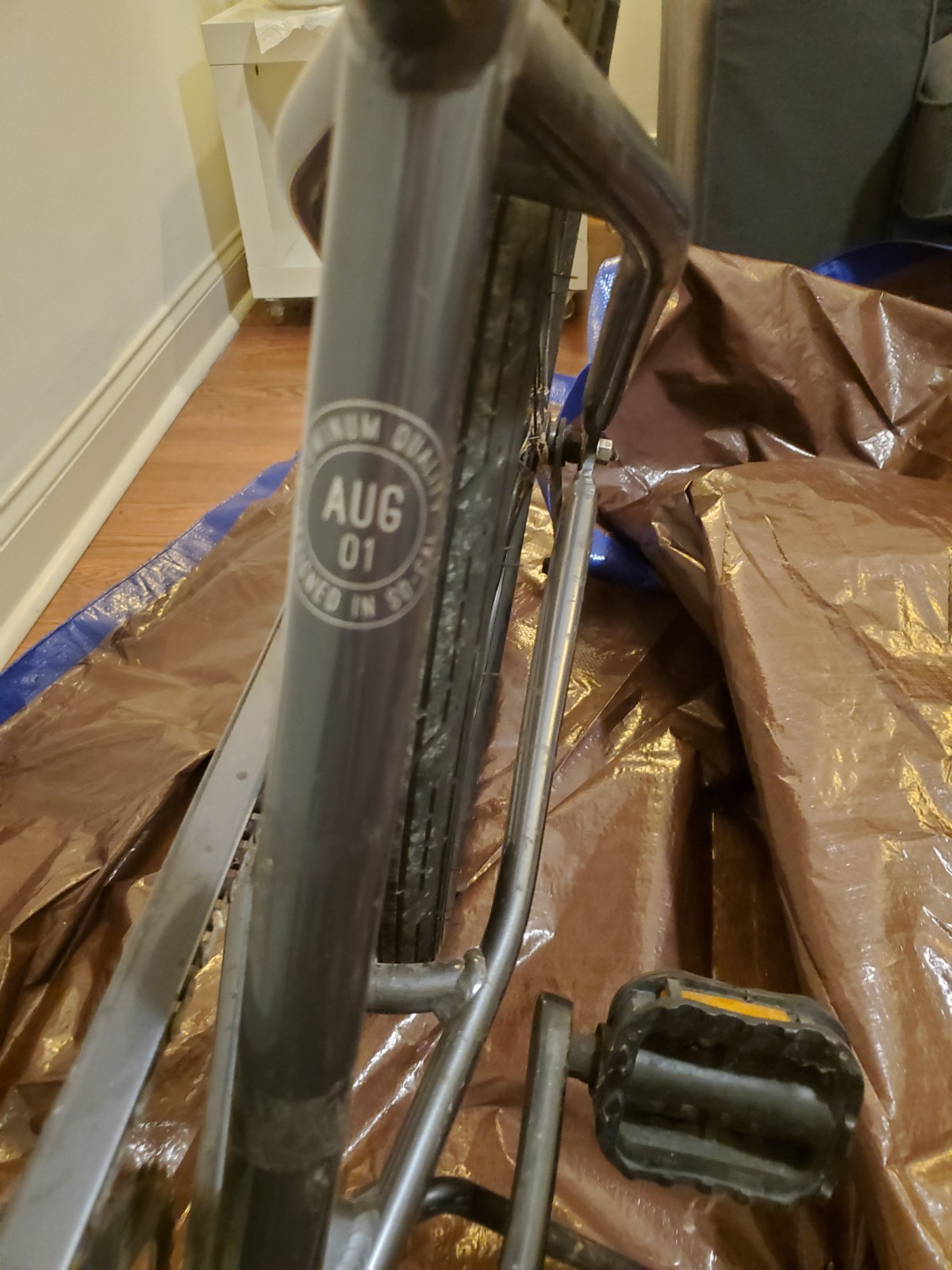 bike-pictures