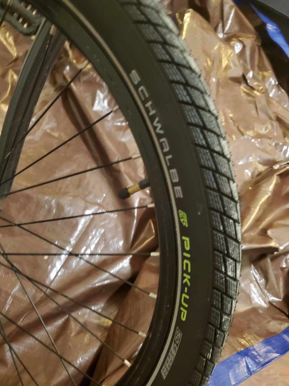 bike-pictures