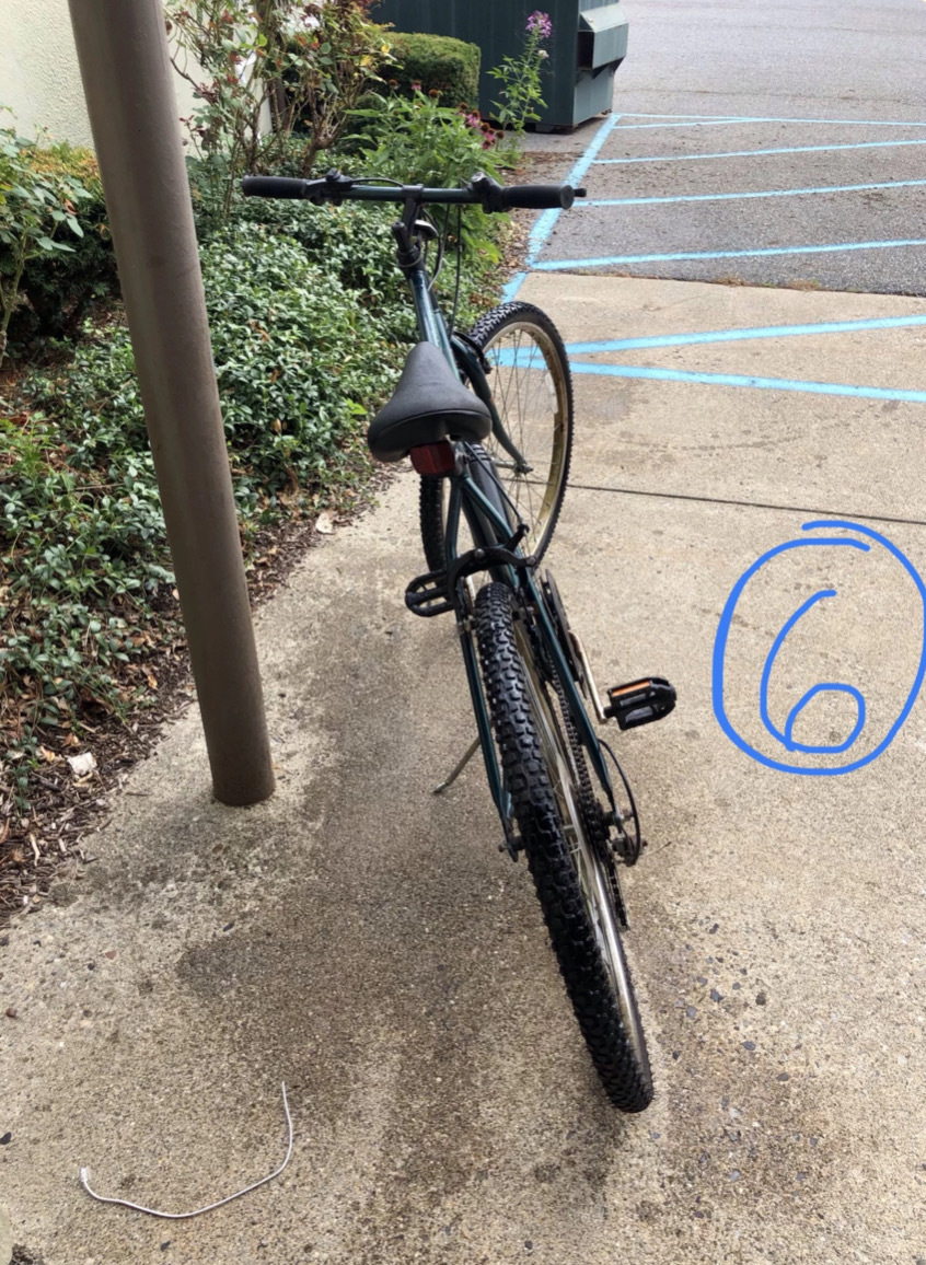 bike-pictures