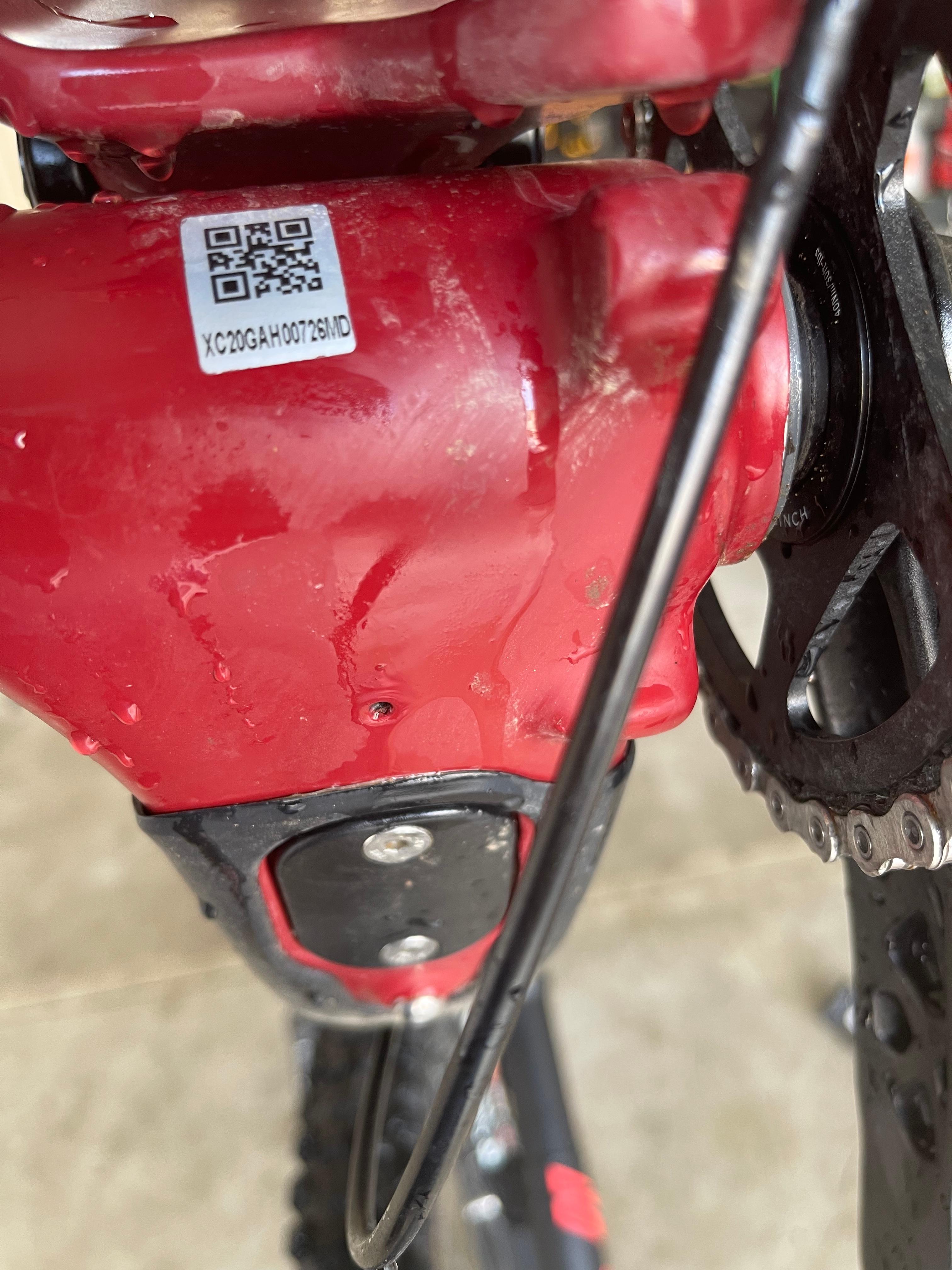 bike-pictures