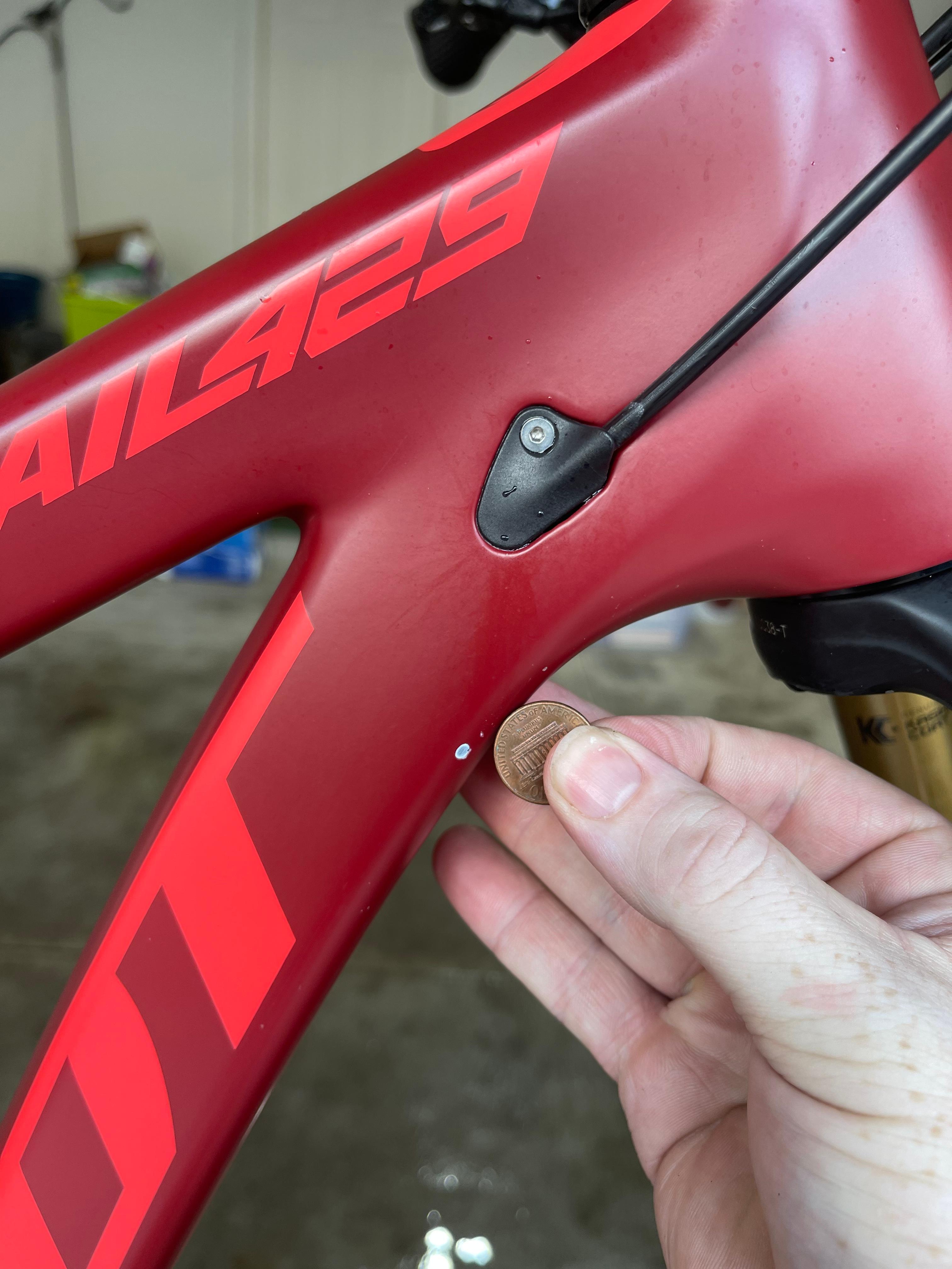 bike-pictures