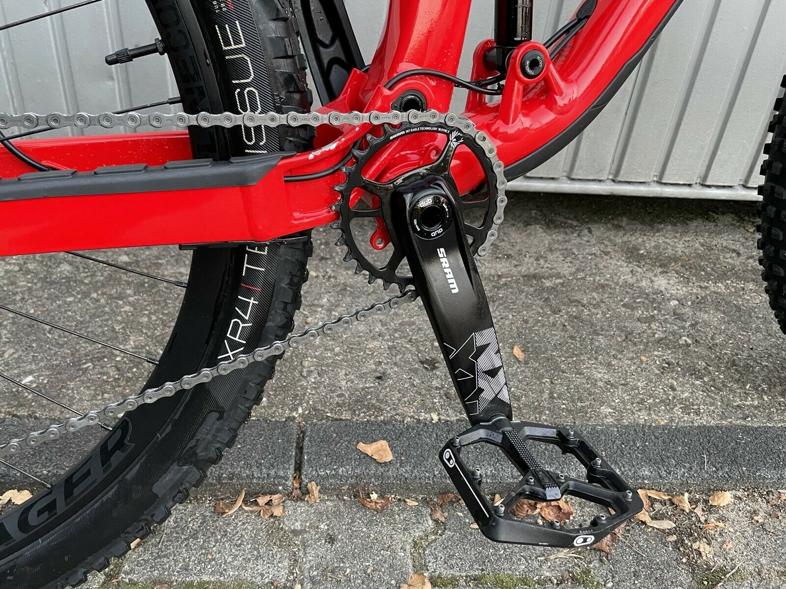 bike-pictures