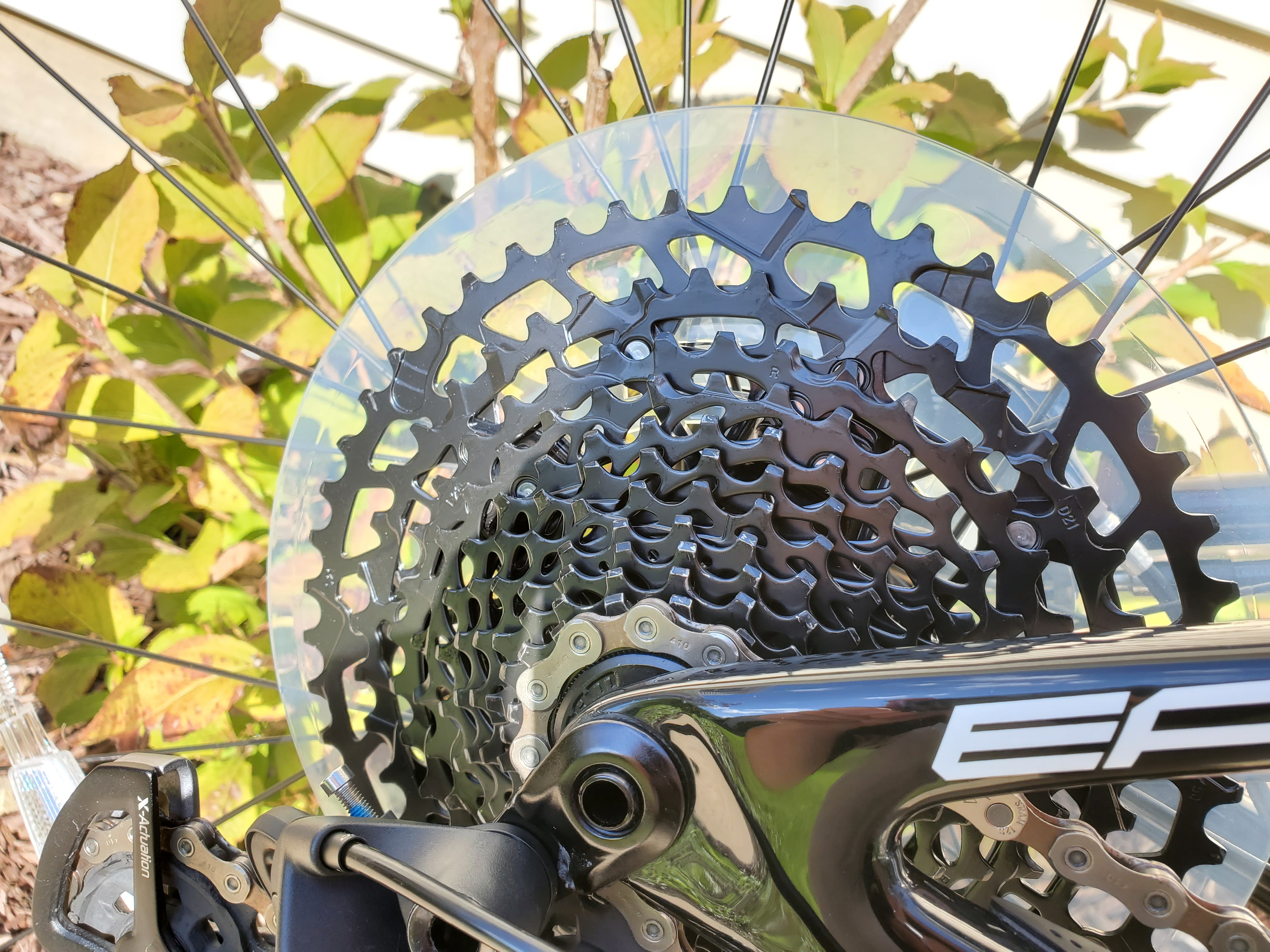 bike-pictures