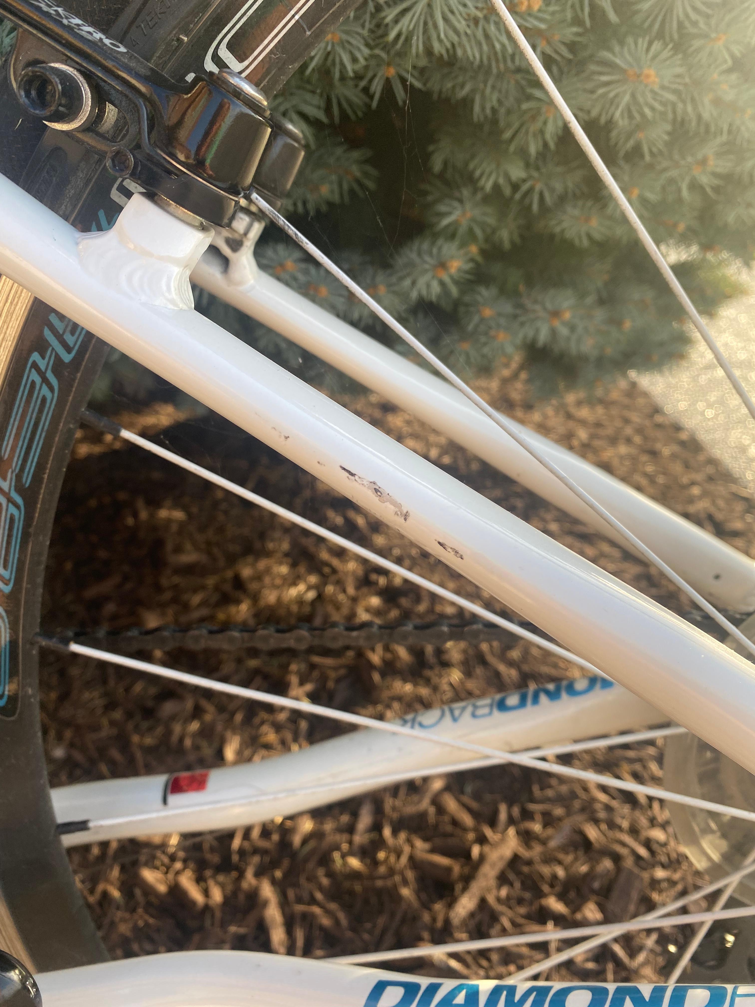 bike-pictures