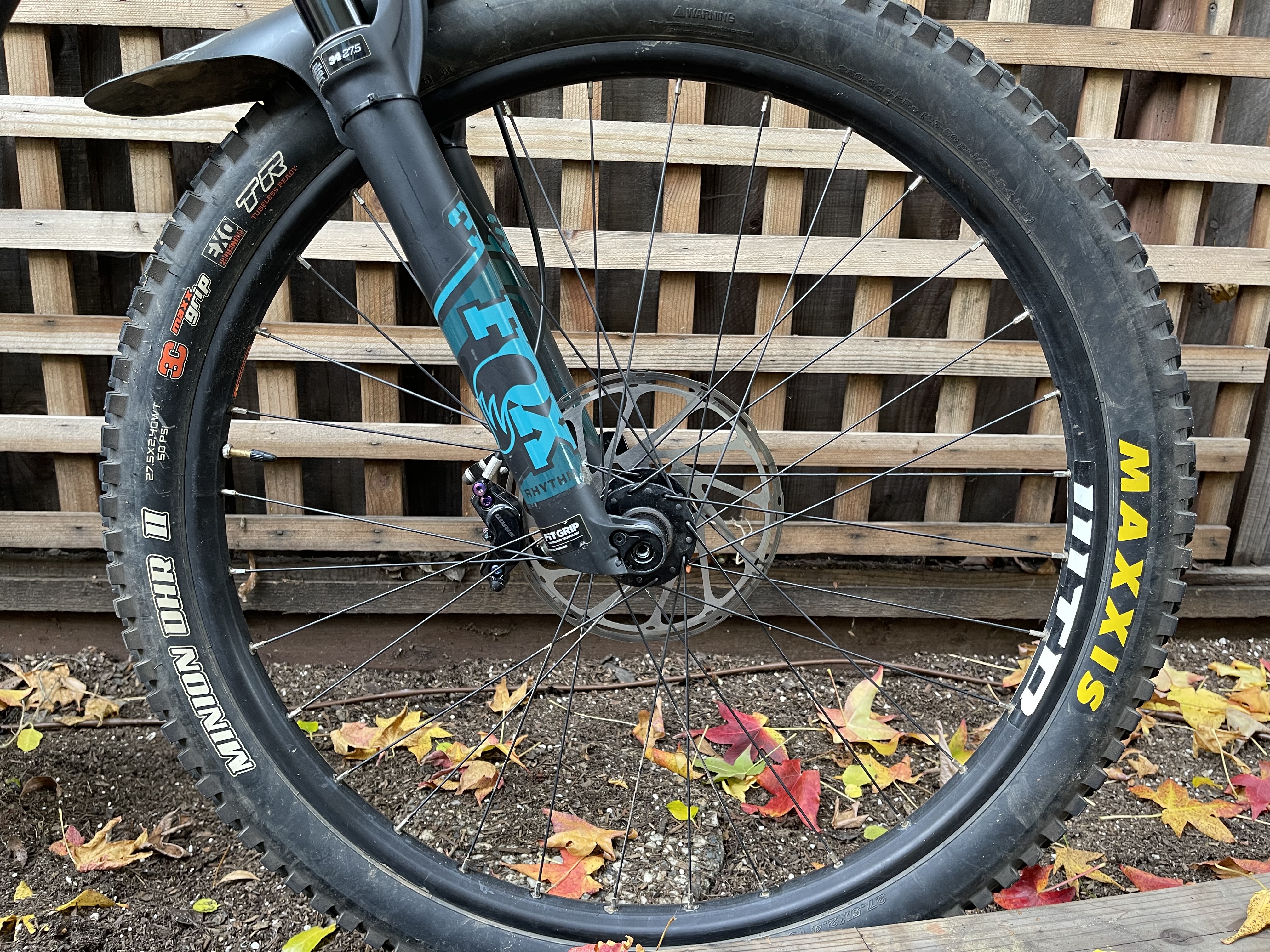bike-pictures
