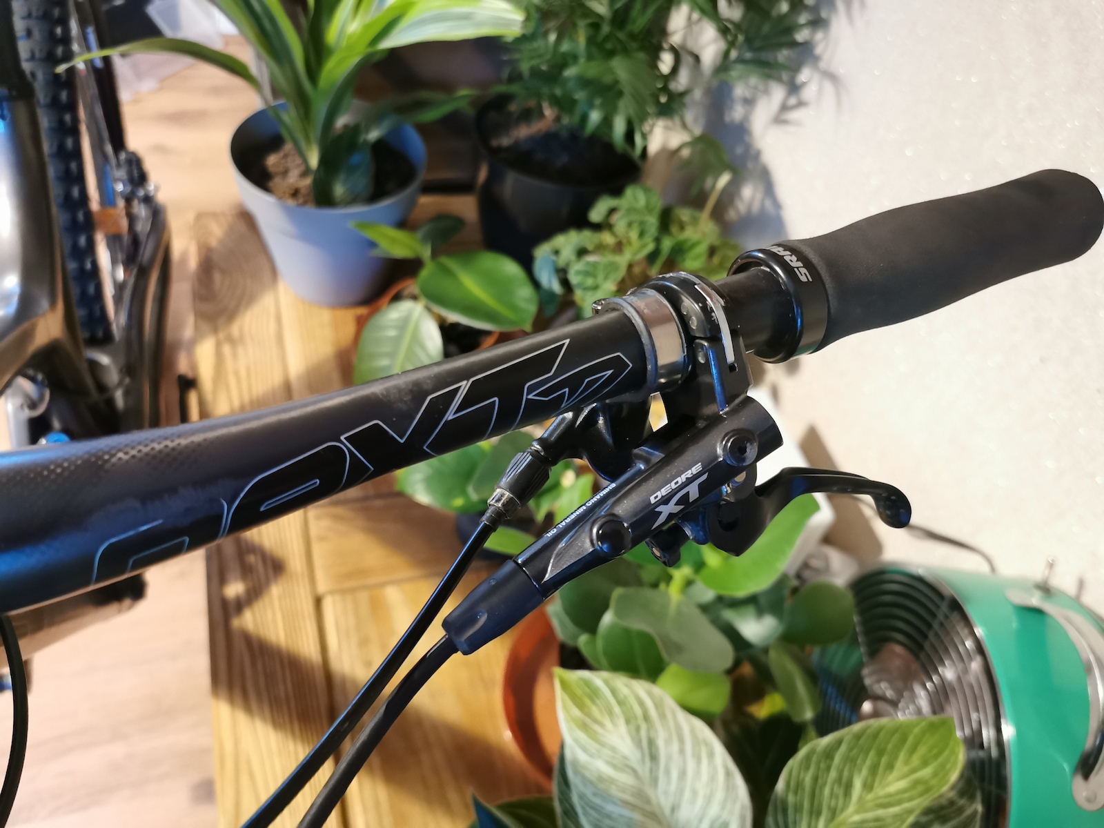 bike-pictures
