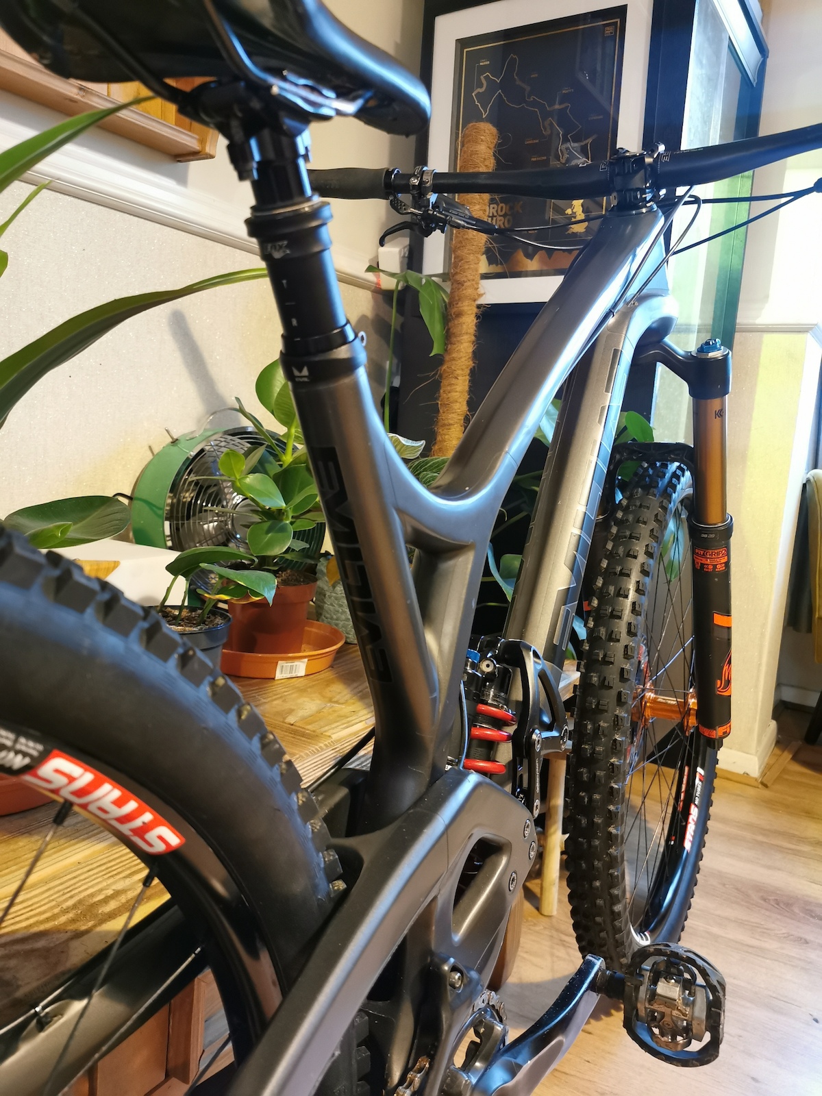 bike-pictures