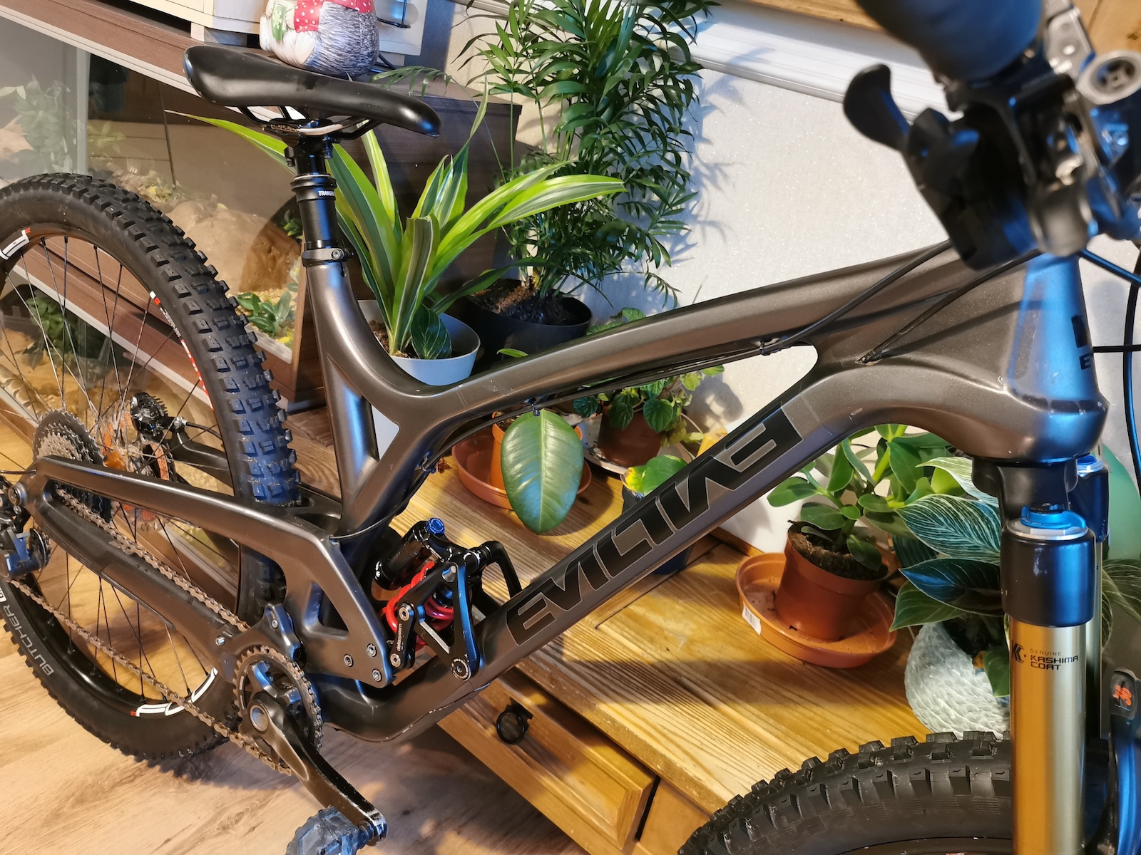 bike-pictures