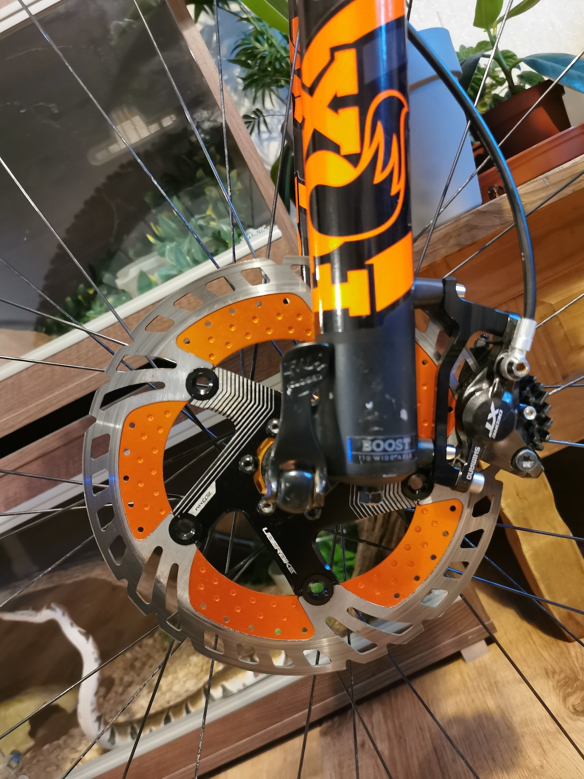 bike-pictures