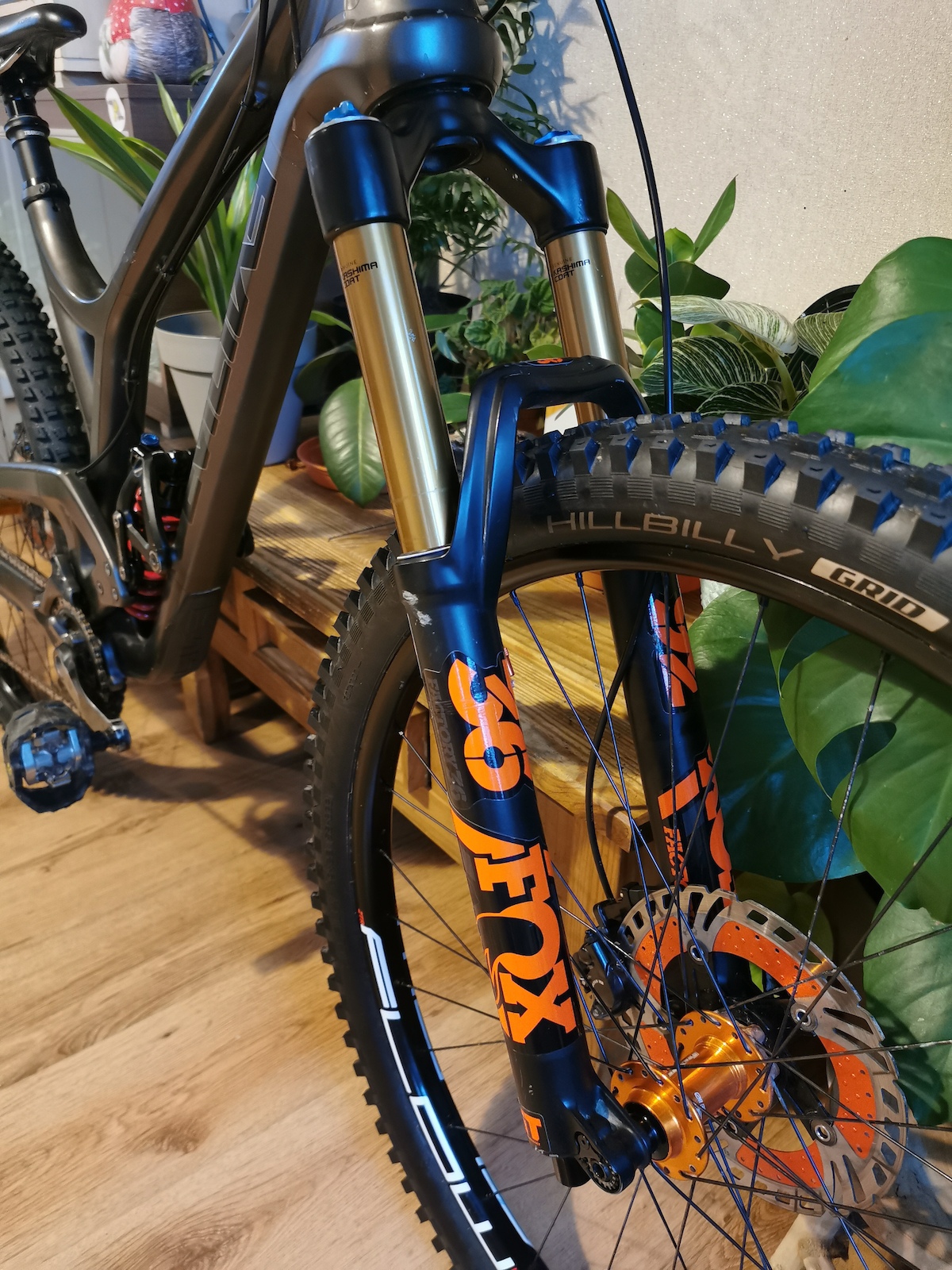bike-pictures