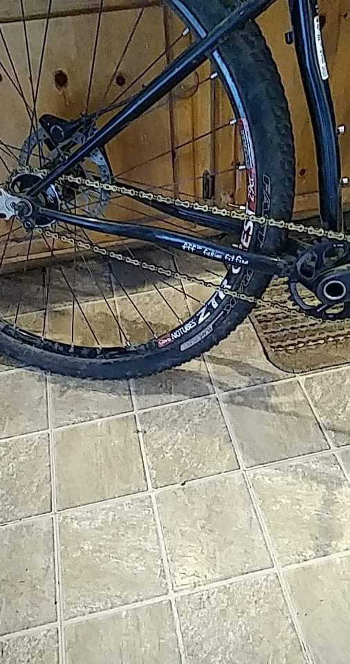 bike-pictures