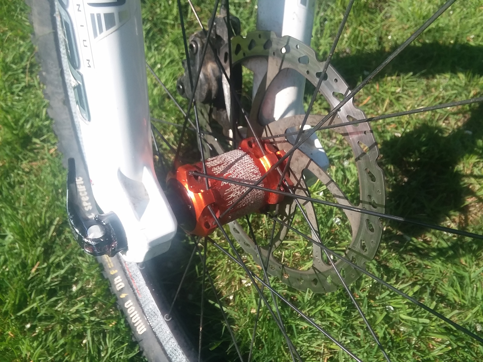 bike-pictures