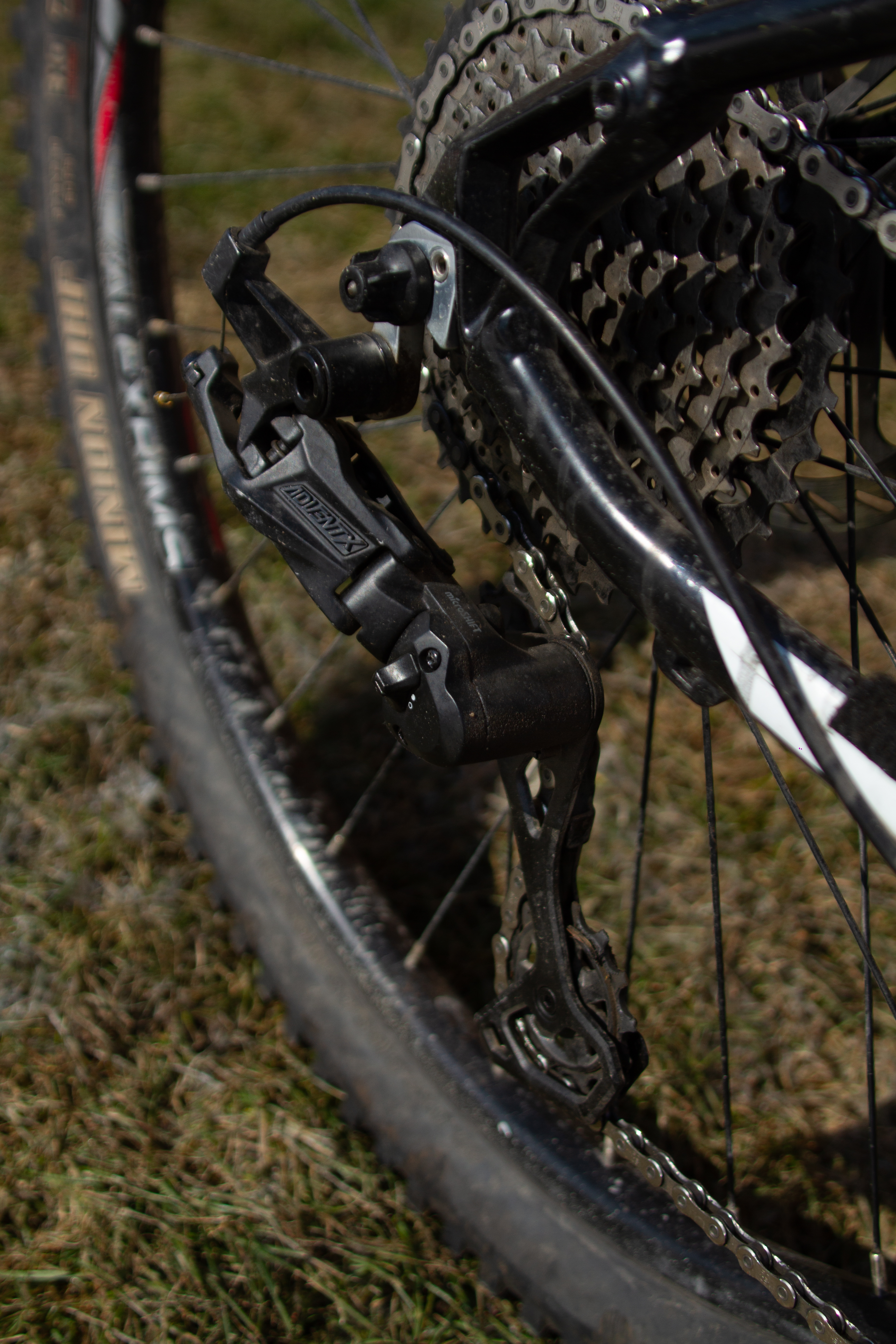 bike-pictures