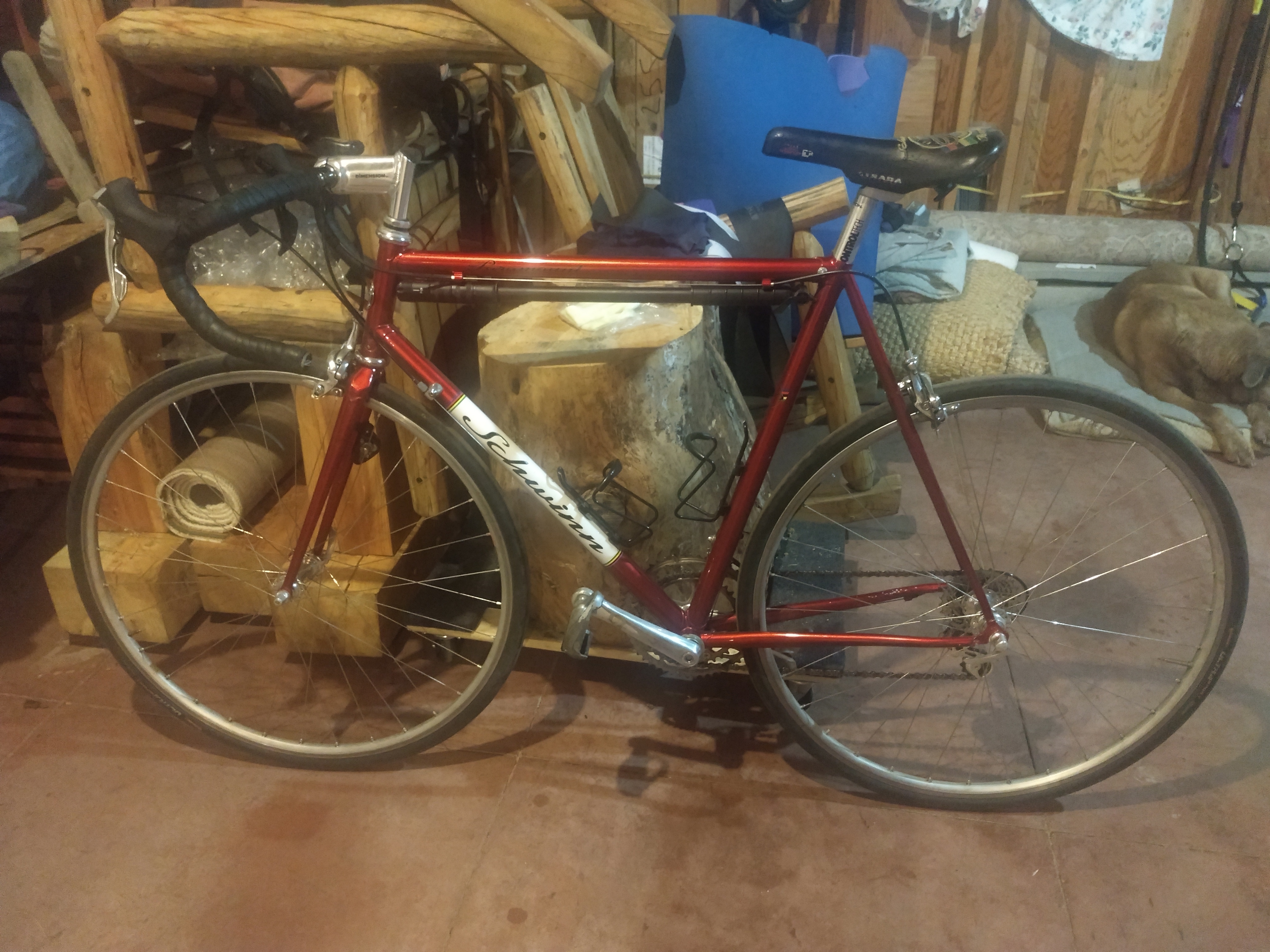 bike-pictures