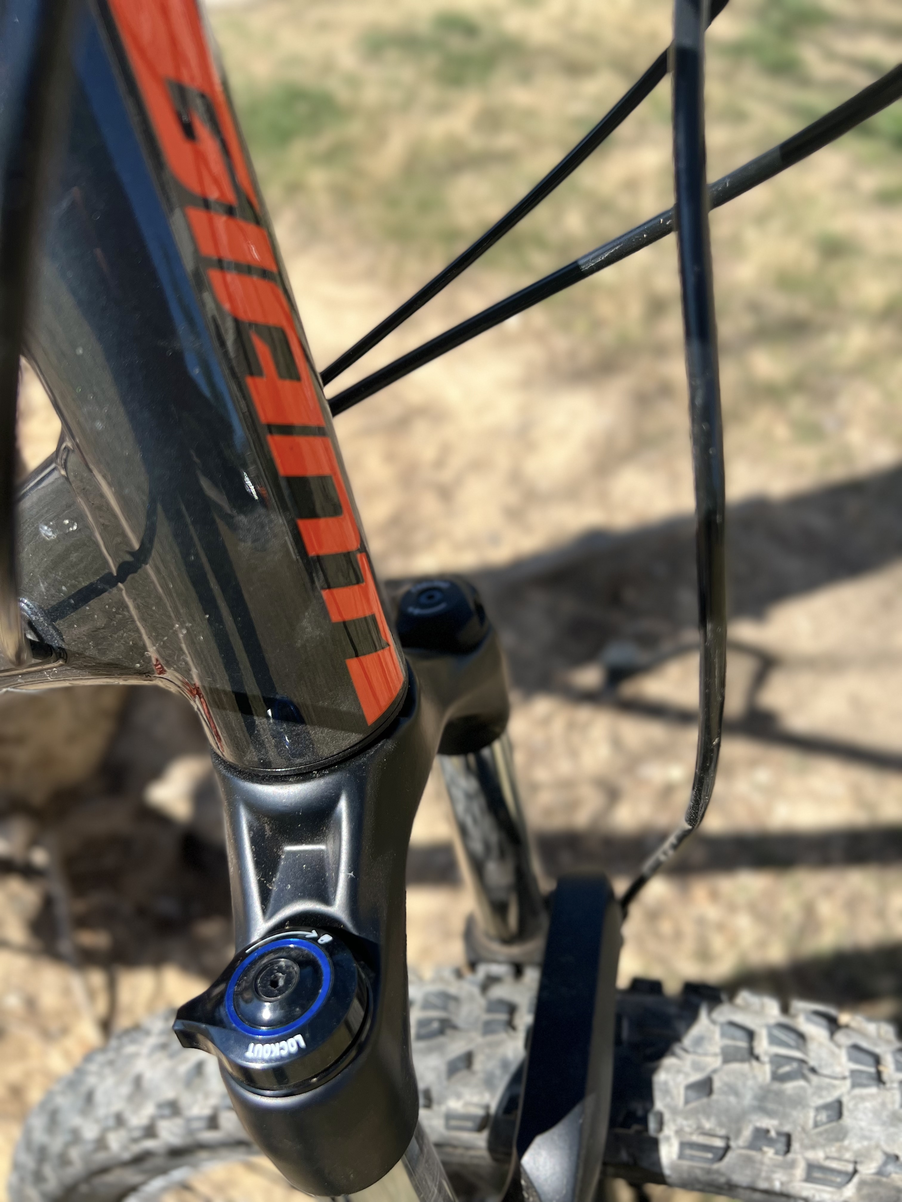 bike-pictures
