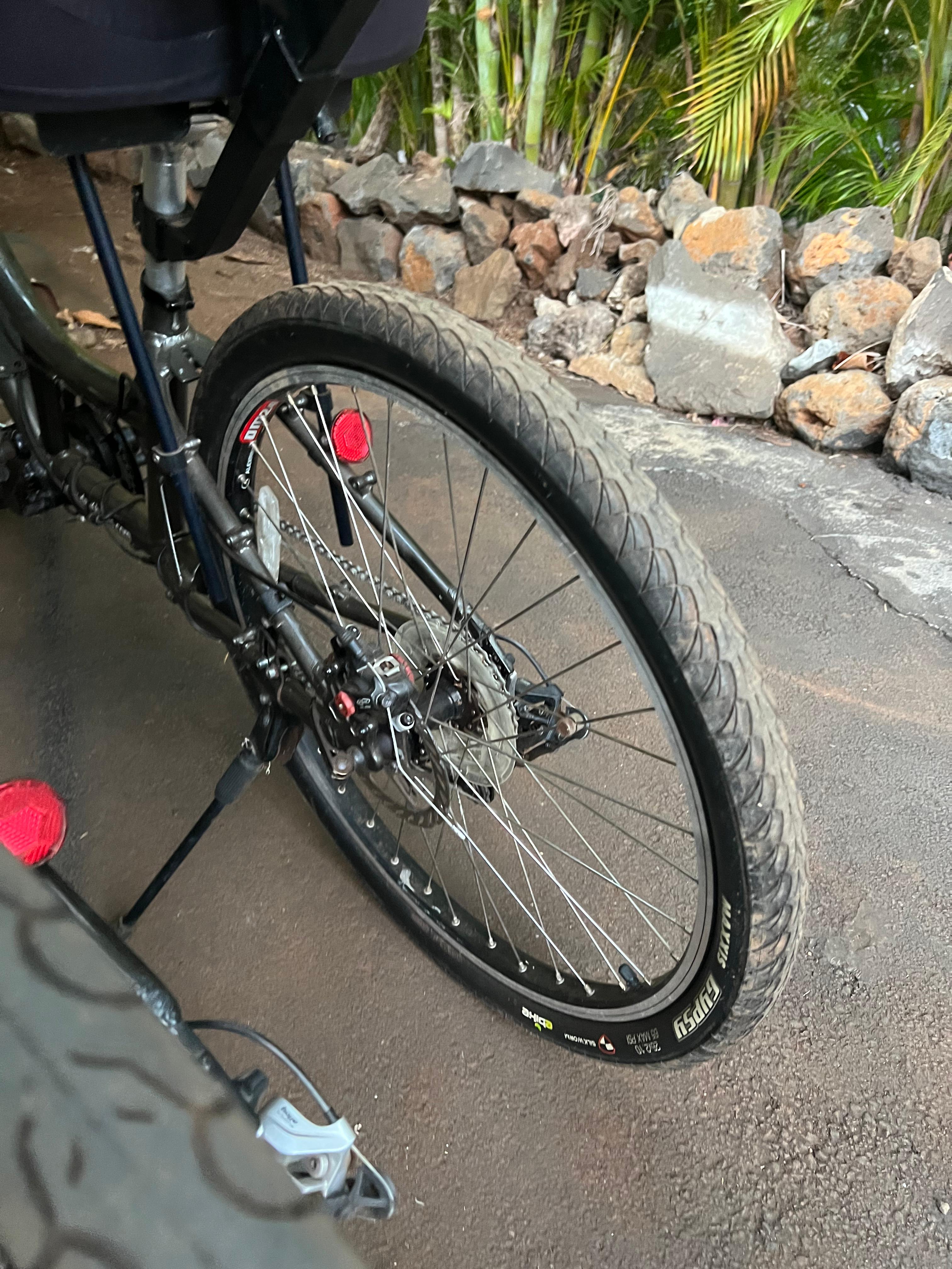 bike-pictures