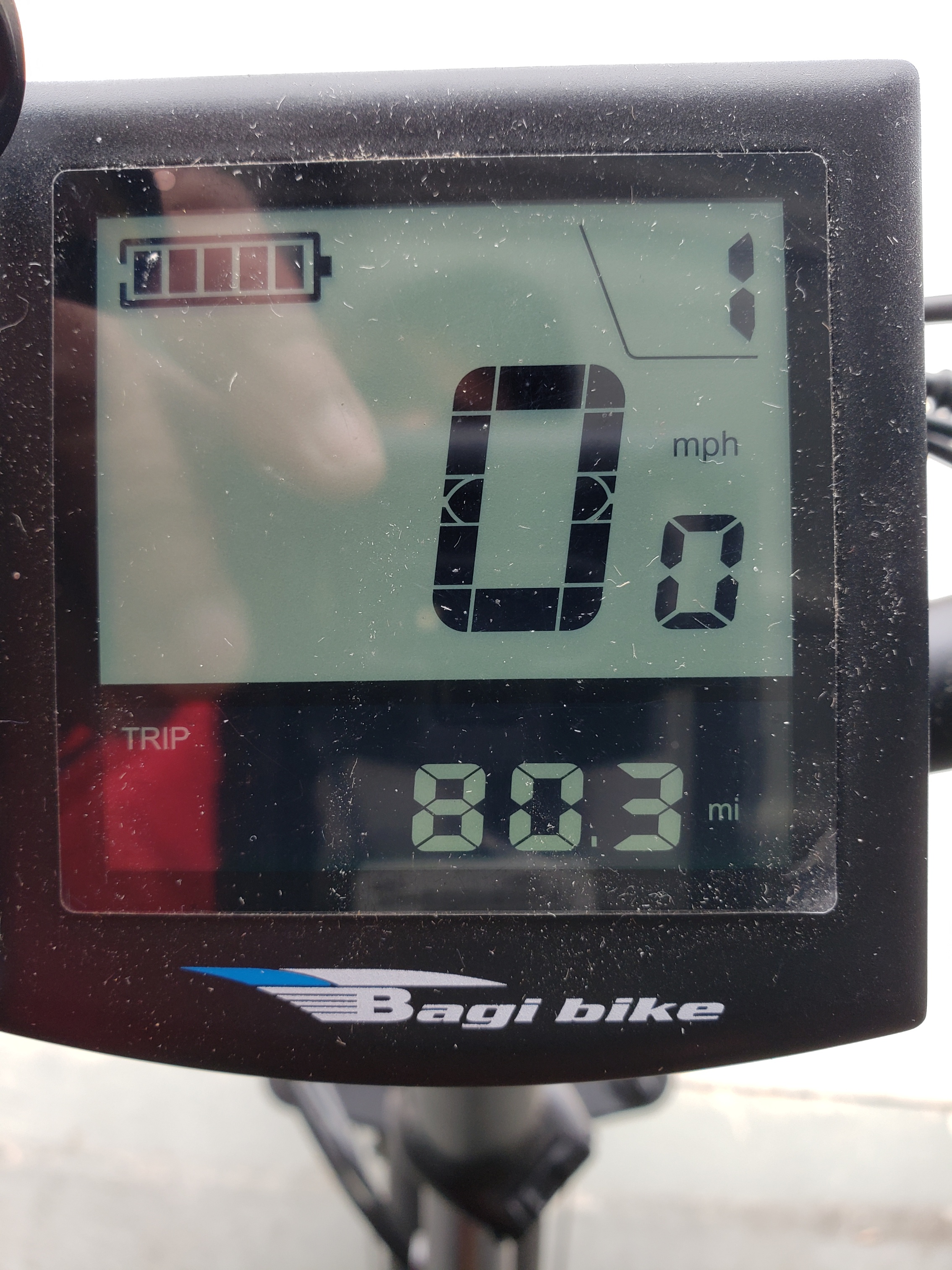 bike-pictures