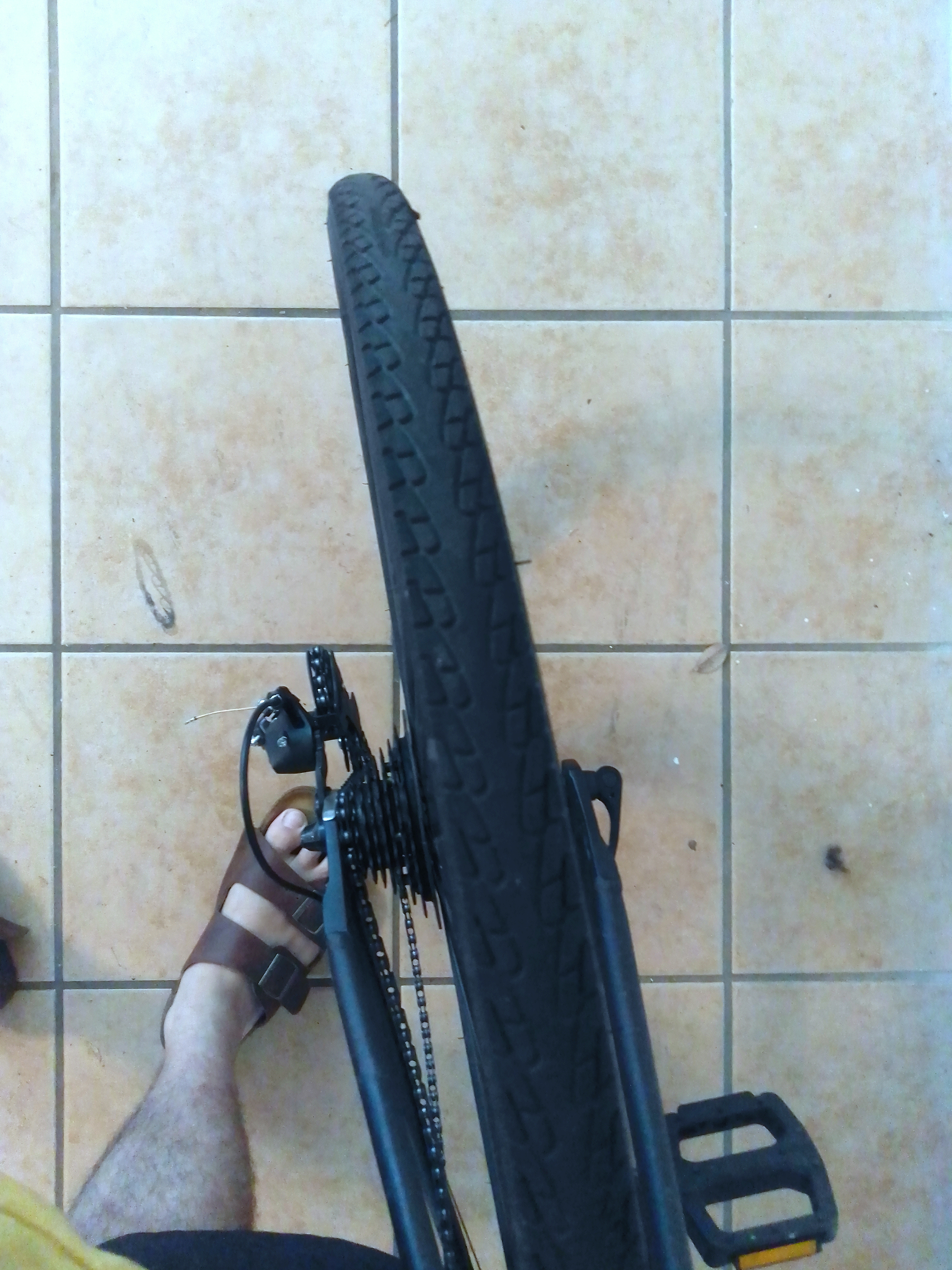 bike-pictures