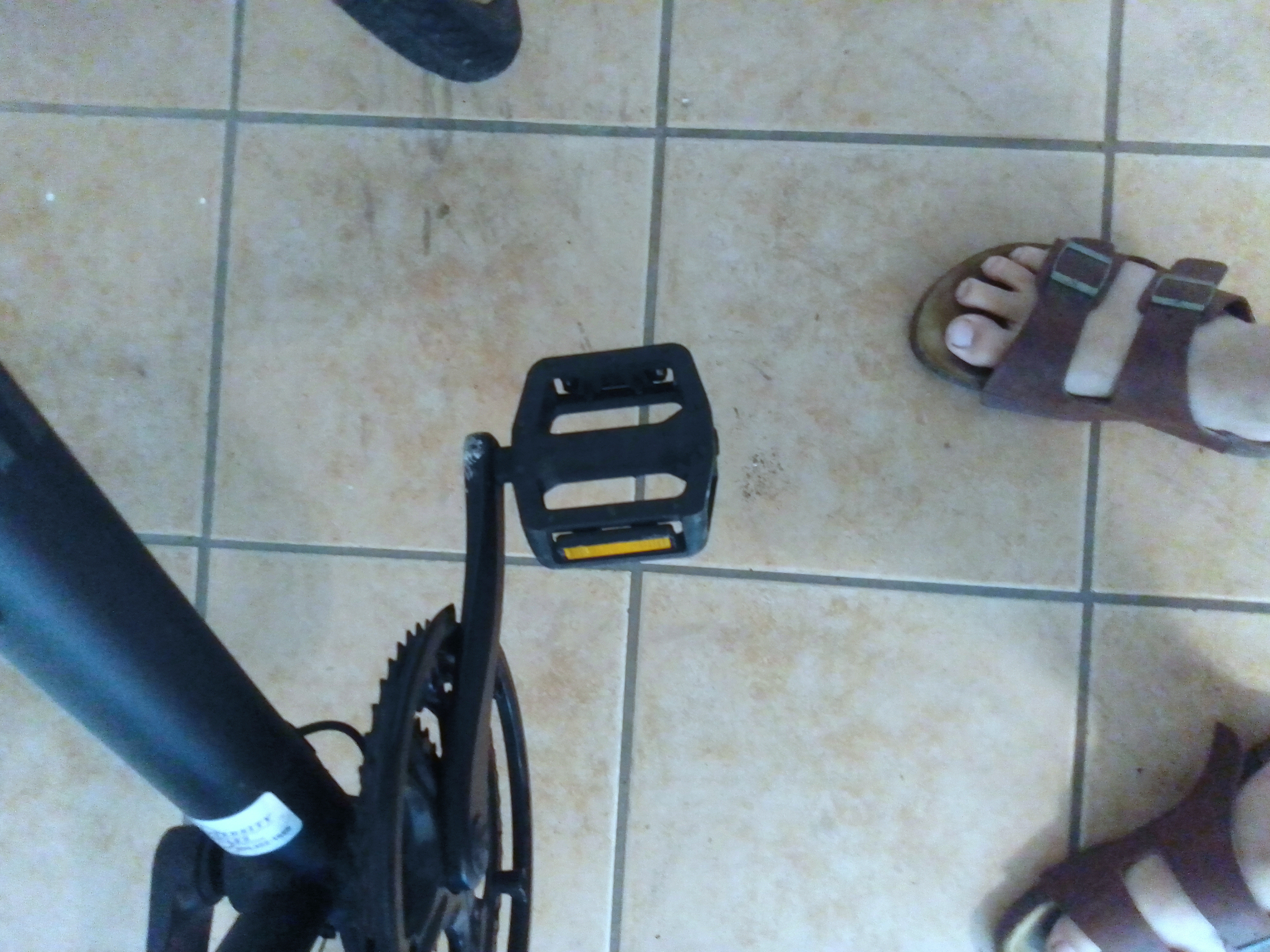 bike-pictures