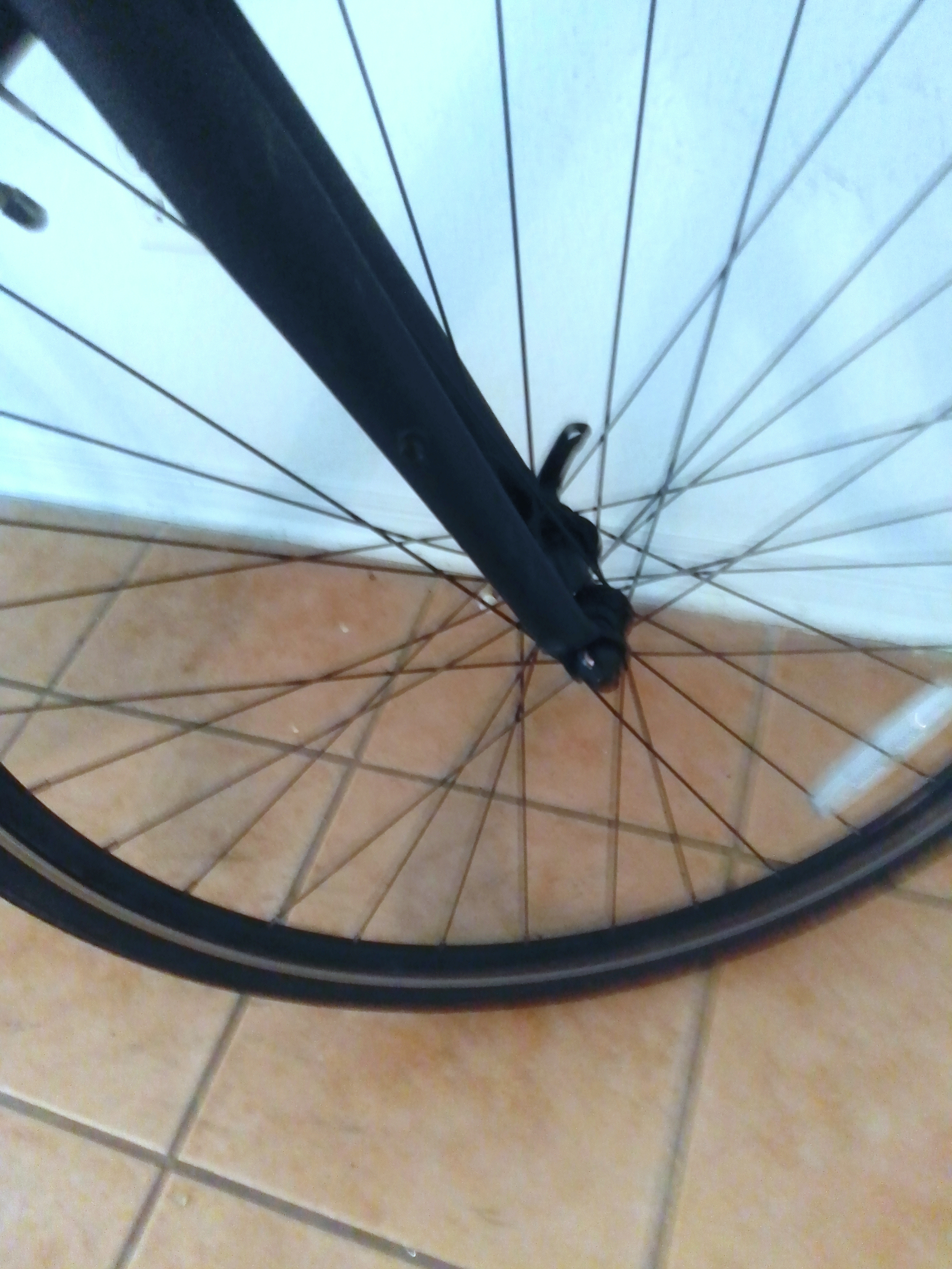 bike-pictures