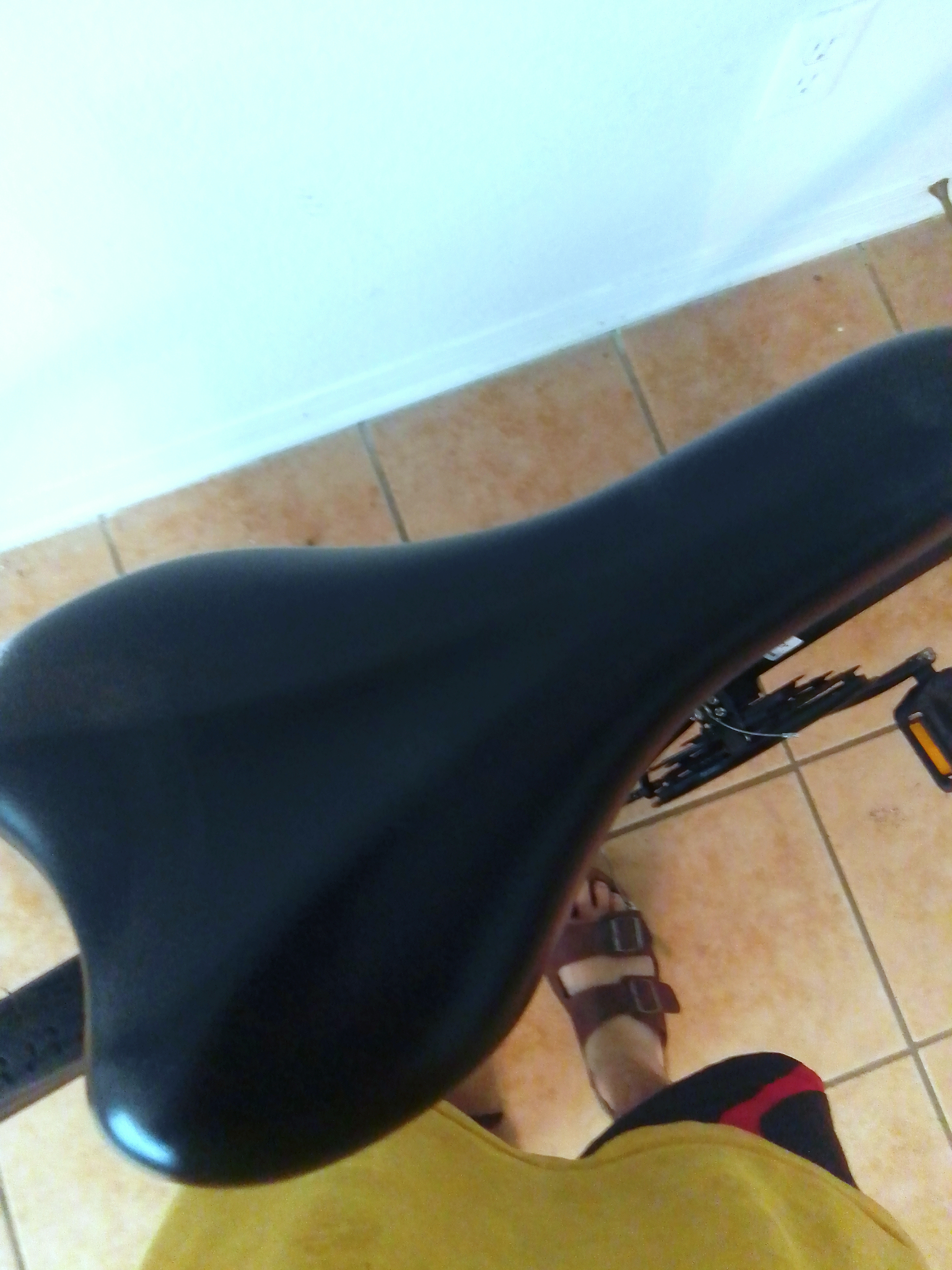 bike-pictures