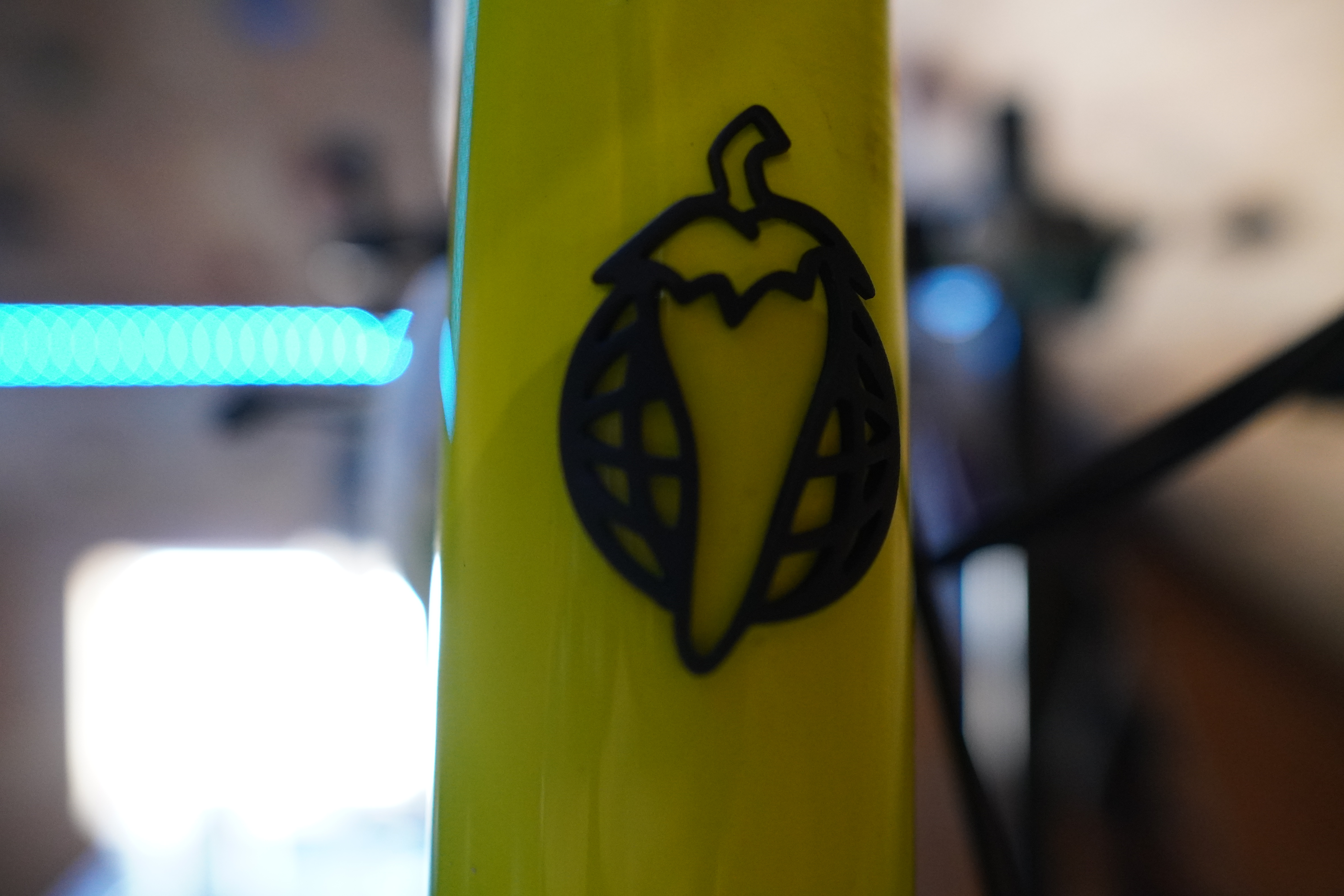 bike-pictures