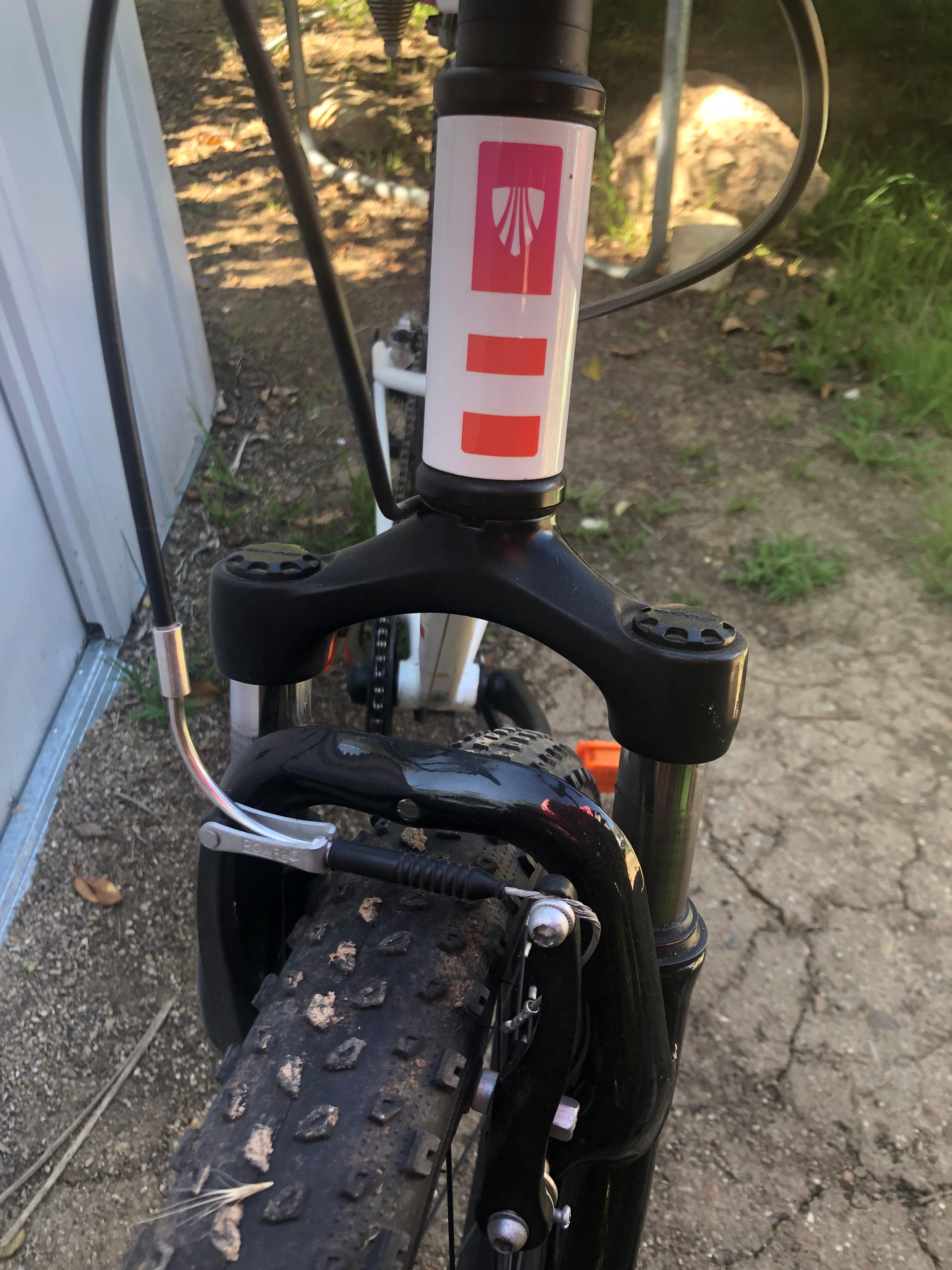 bike-pictures
