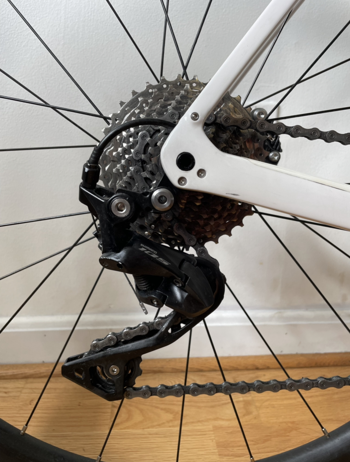 bike-pictures