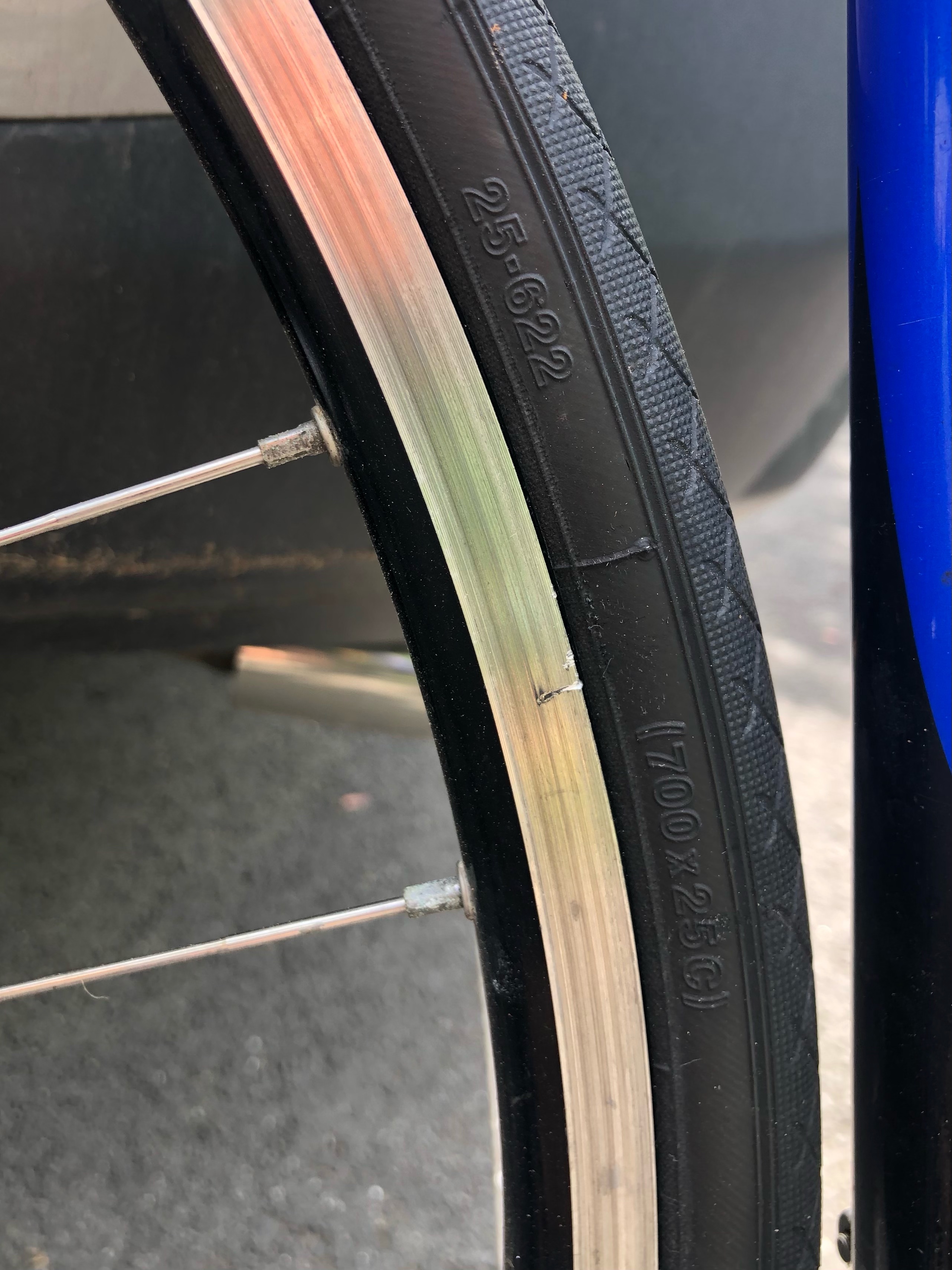 bike-pictures