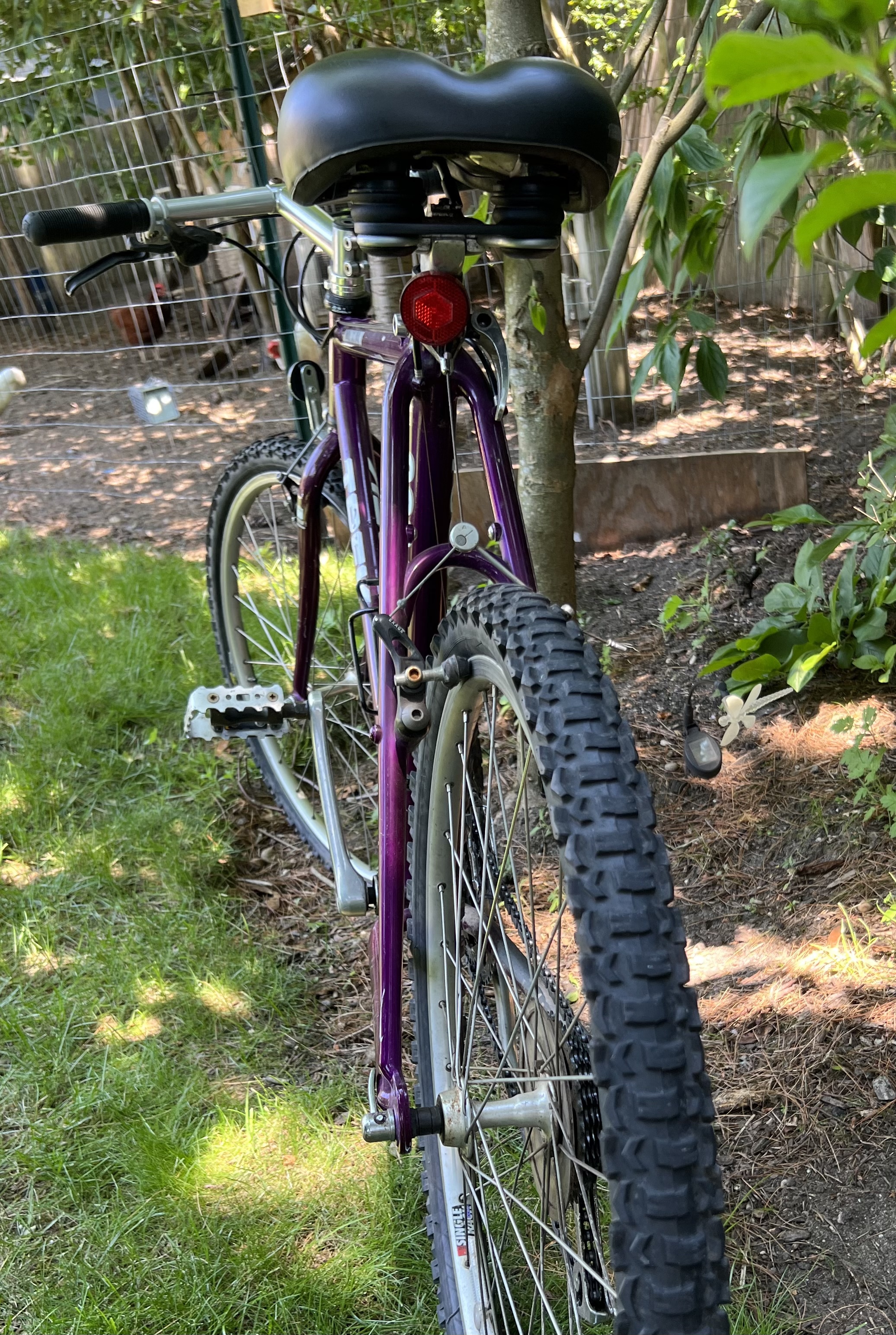 bike-pictures
