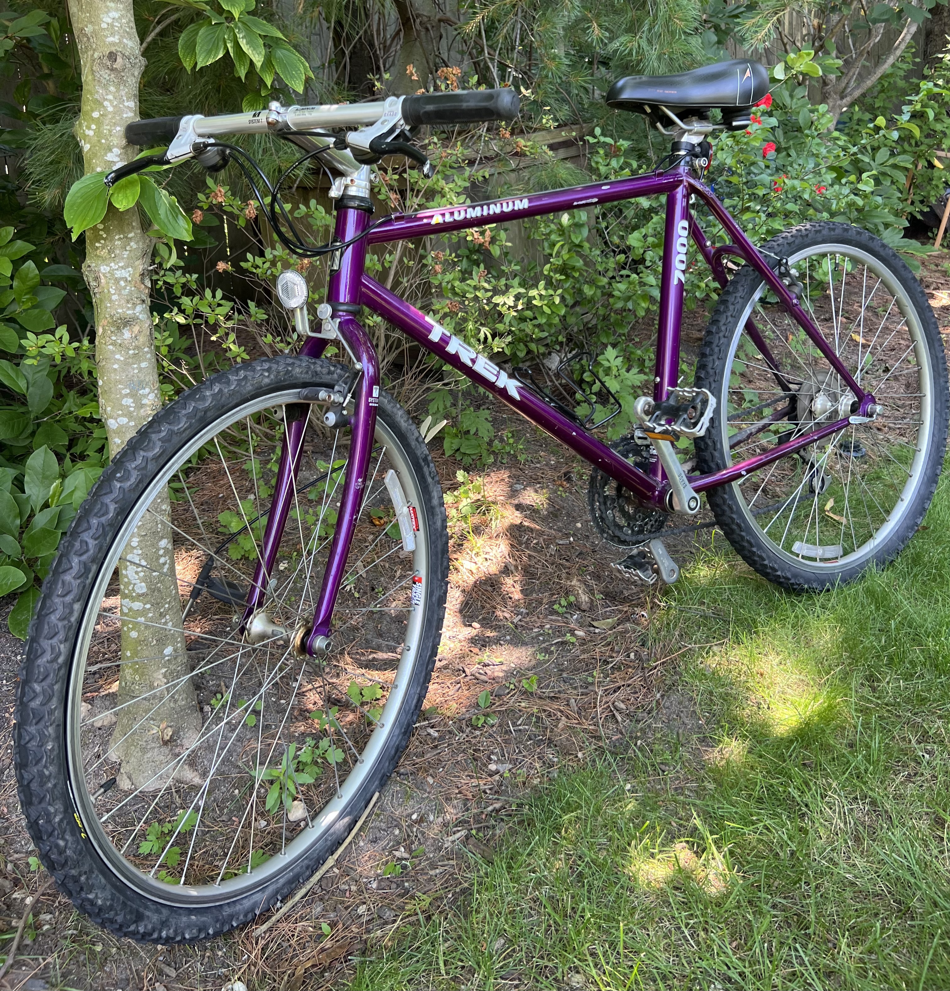 bike-pictures