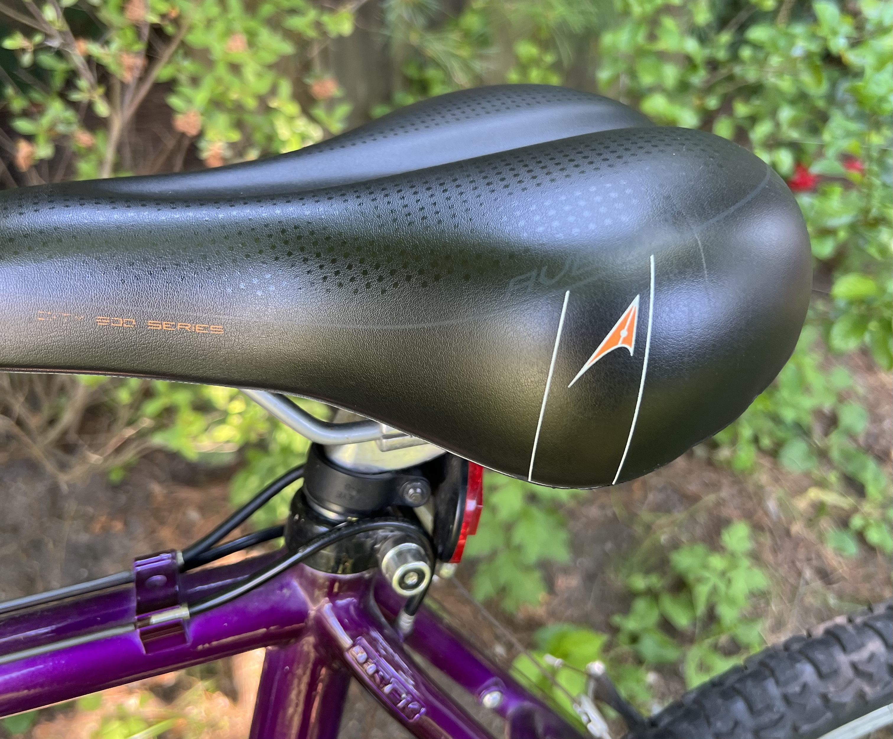 bike-pictures