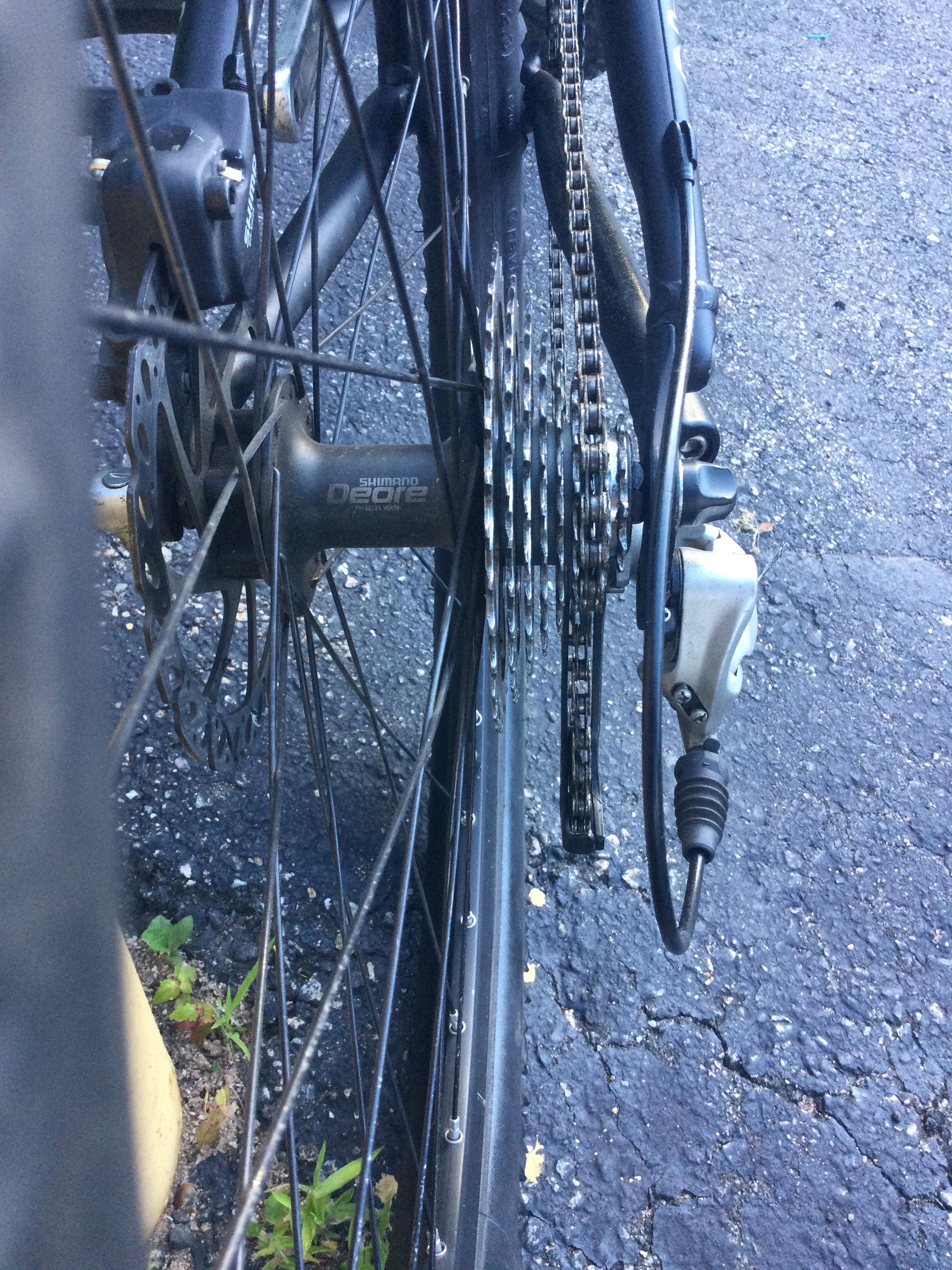 bike-pictures
