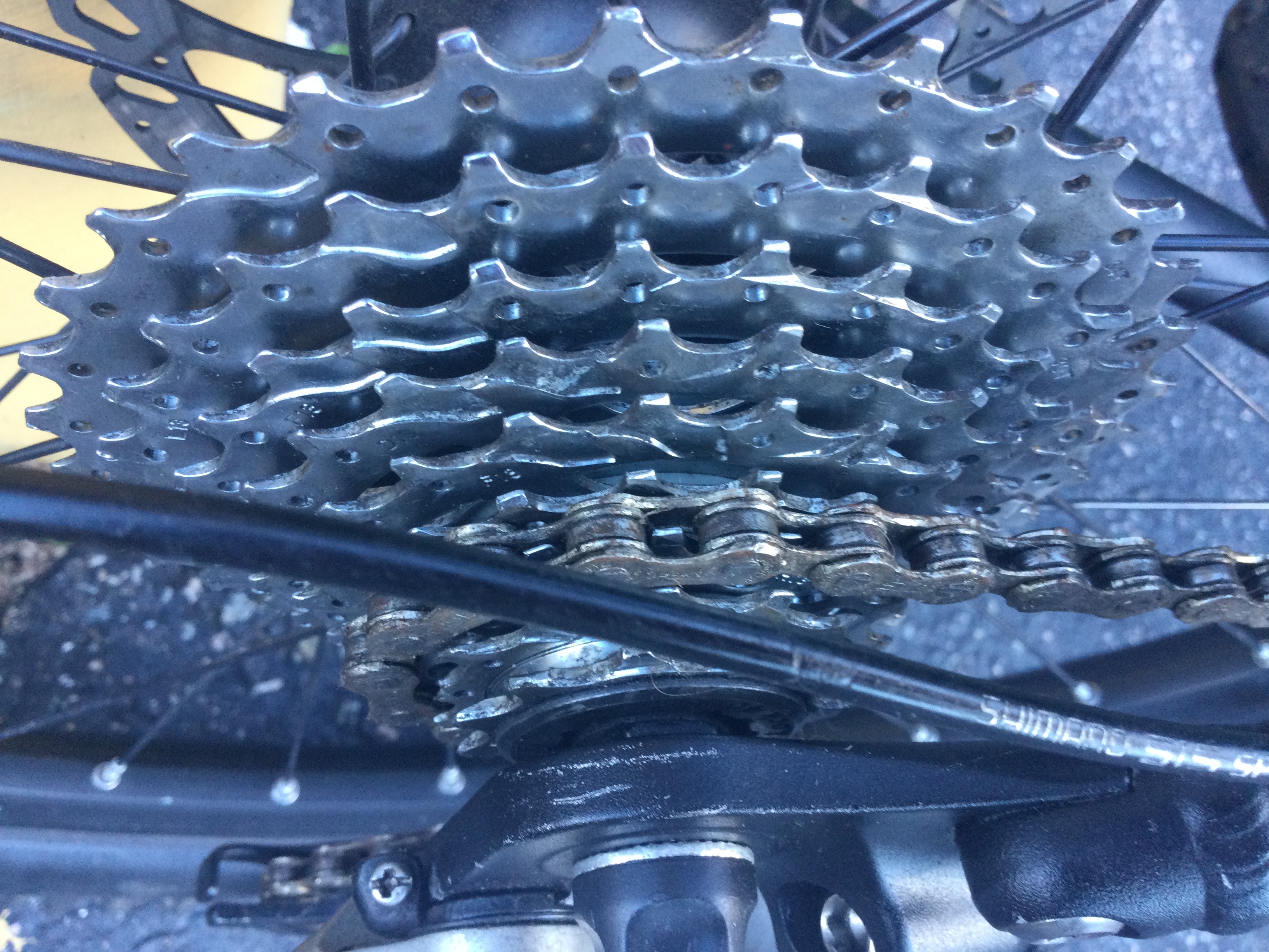 bike-pictures