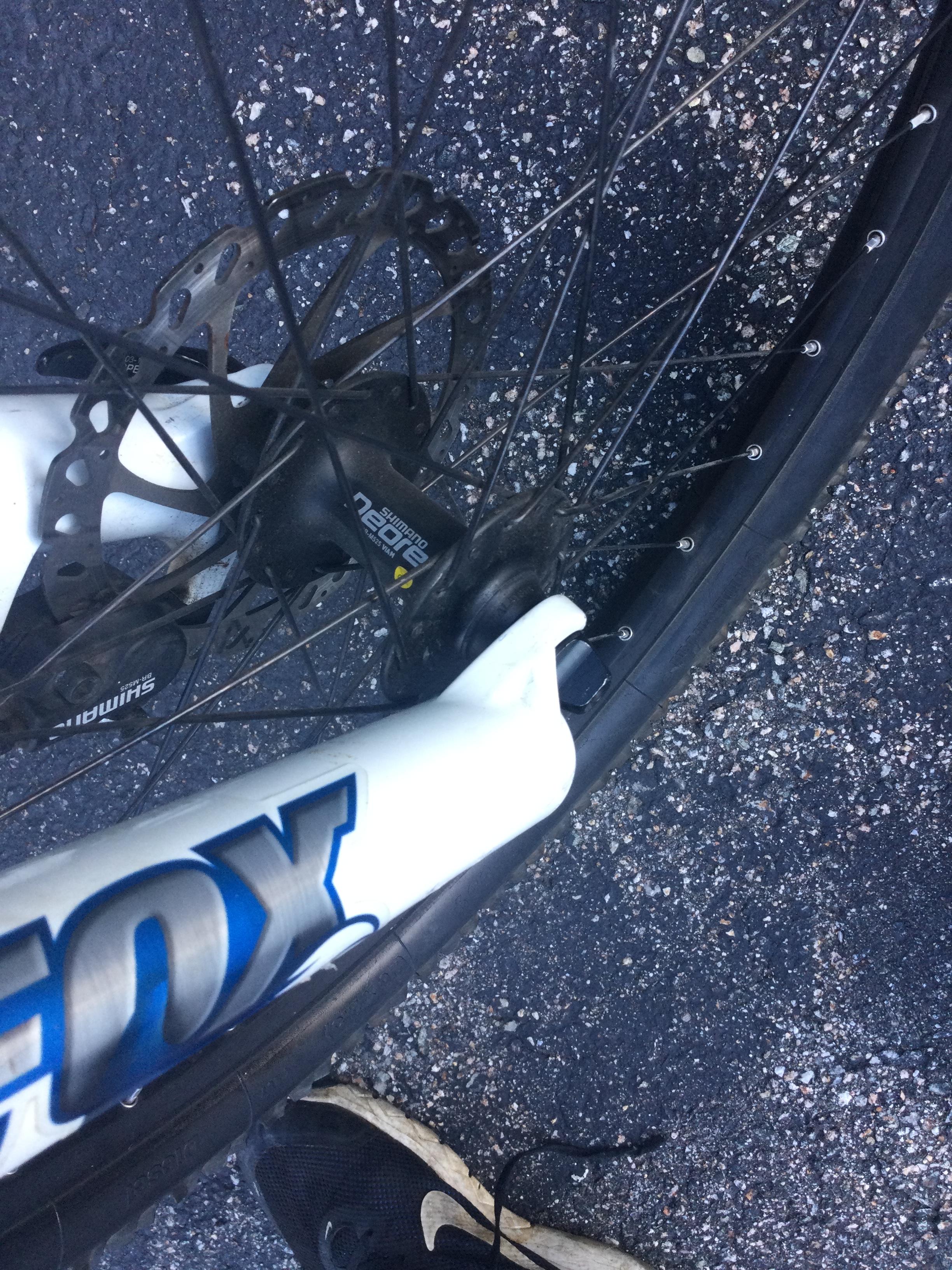bike-pictures
