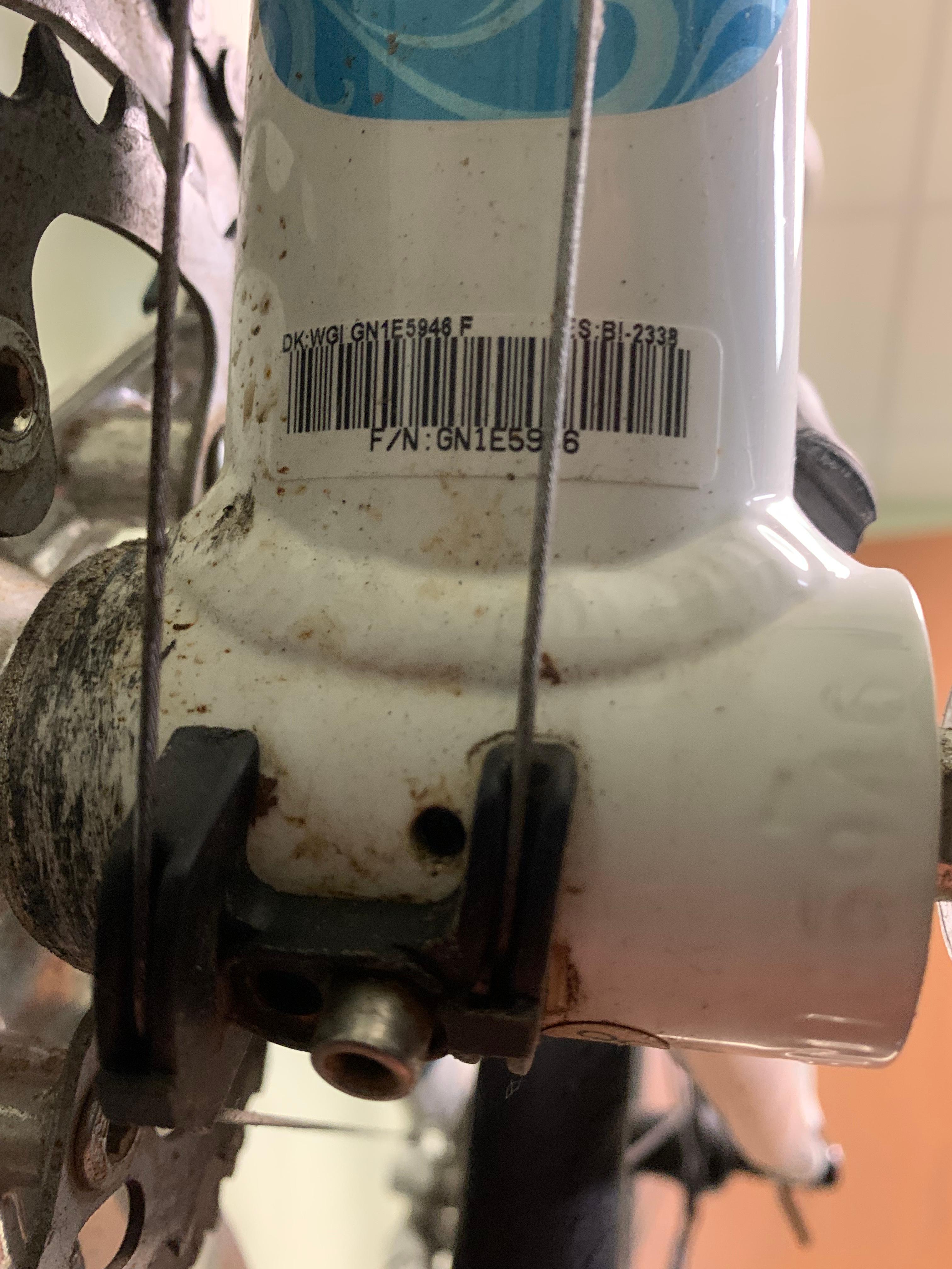 bike-pictures