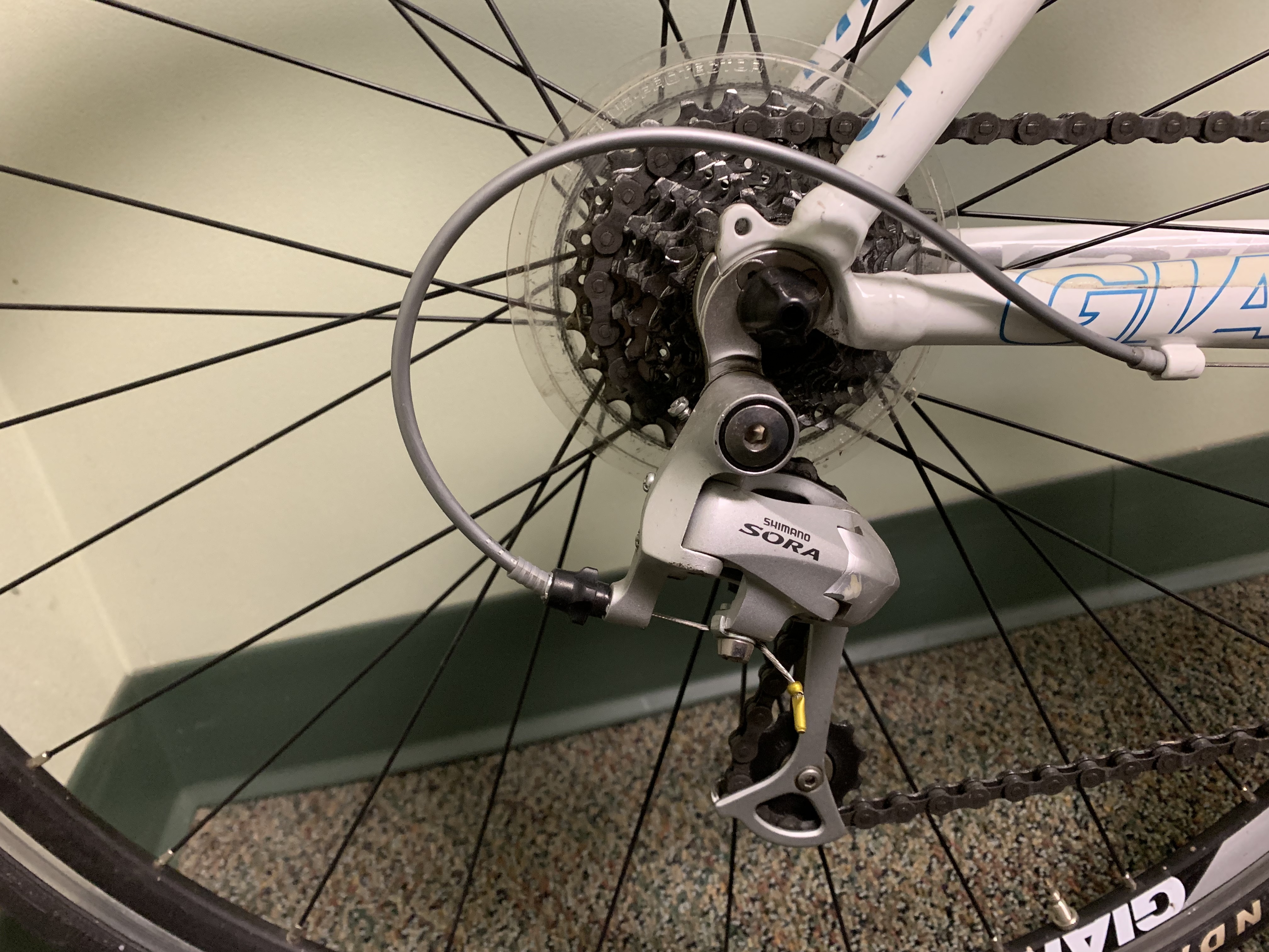 bike-pictures