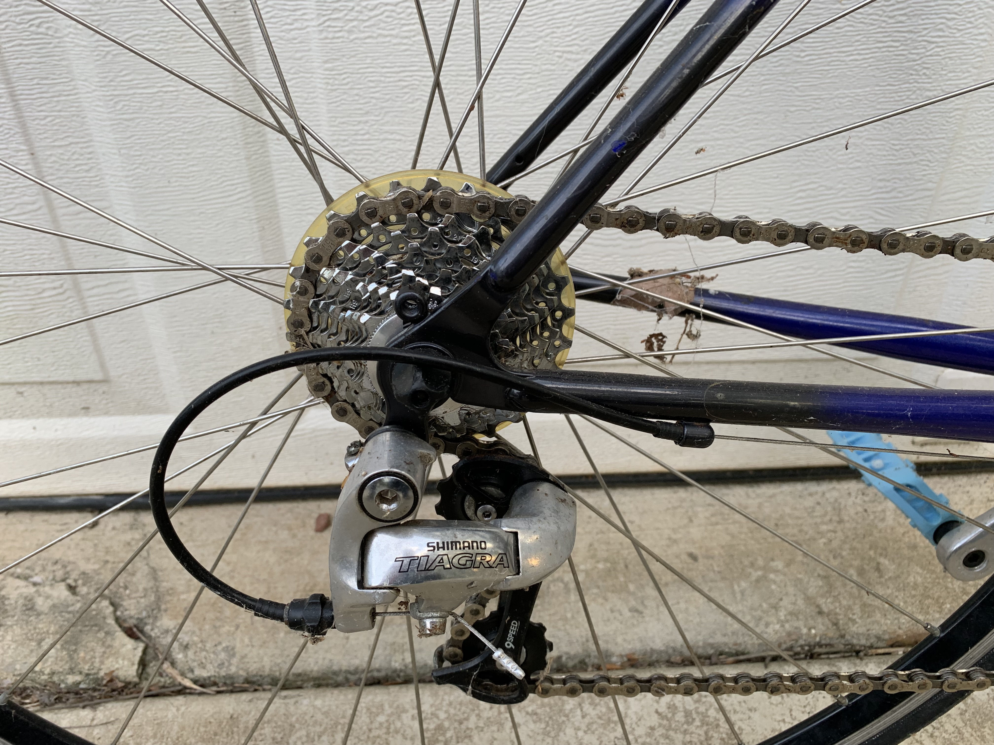 bike-pictures