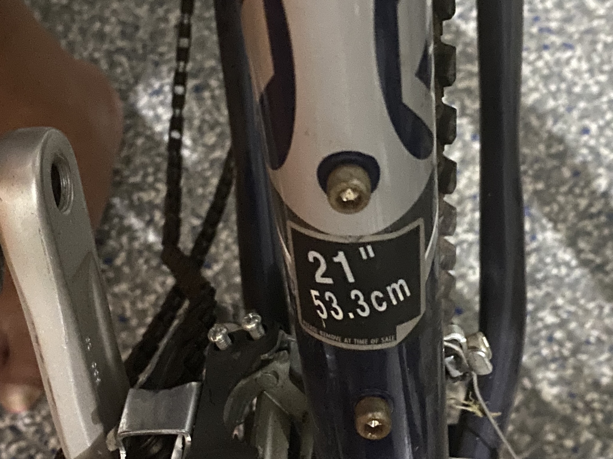 bike-pictures