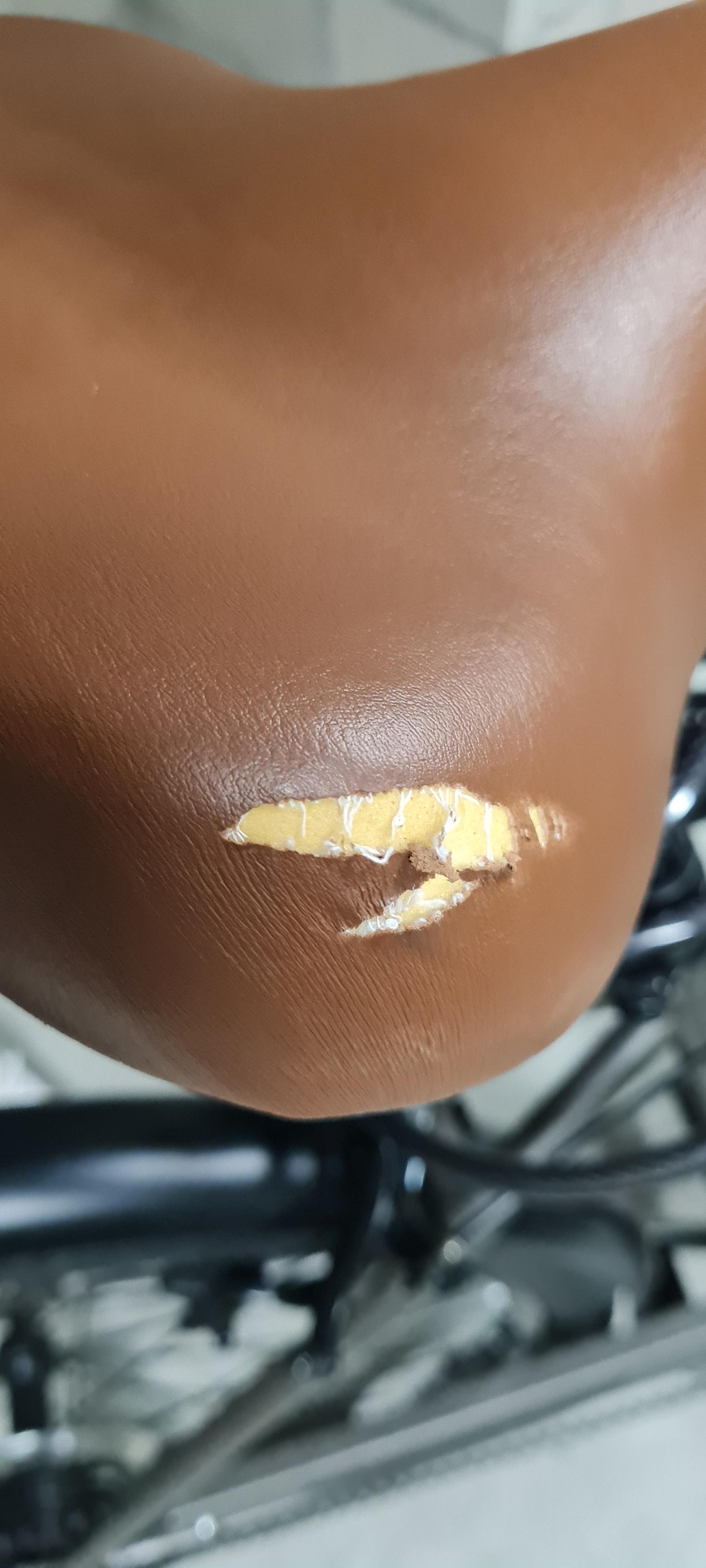 bike-pictures